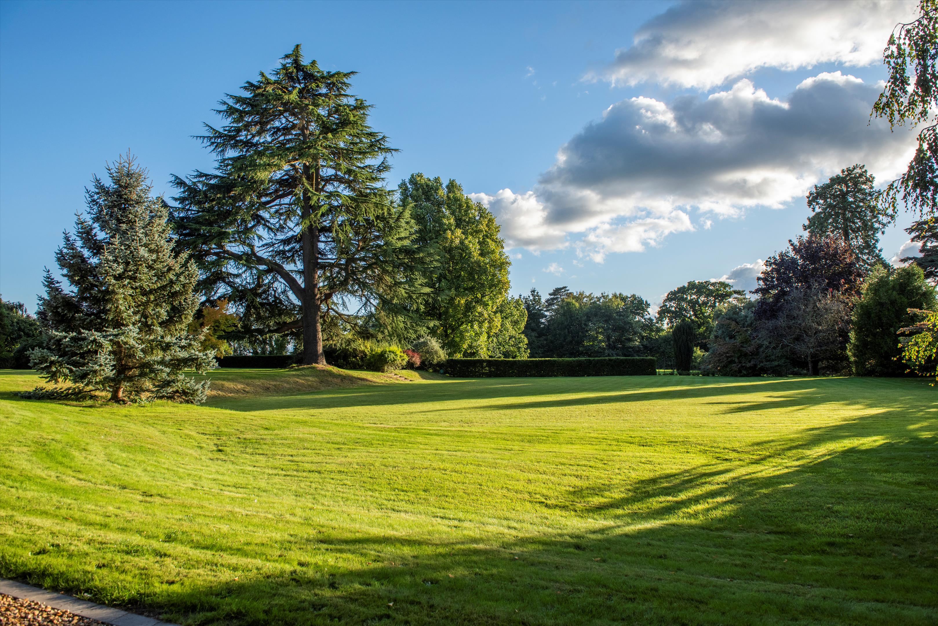 Sandridge Common, Wiltshire, SN12