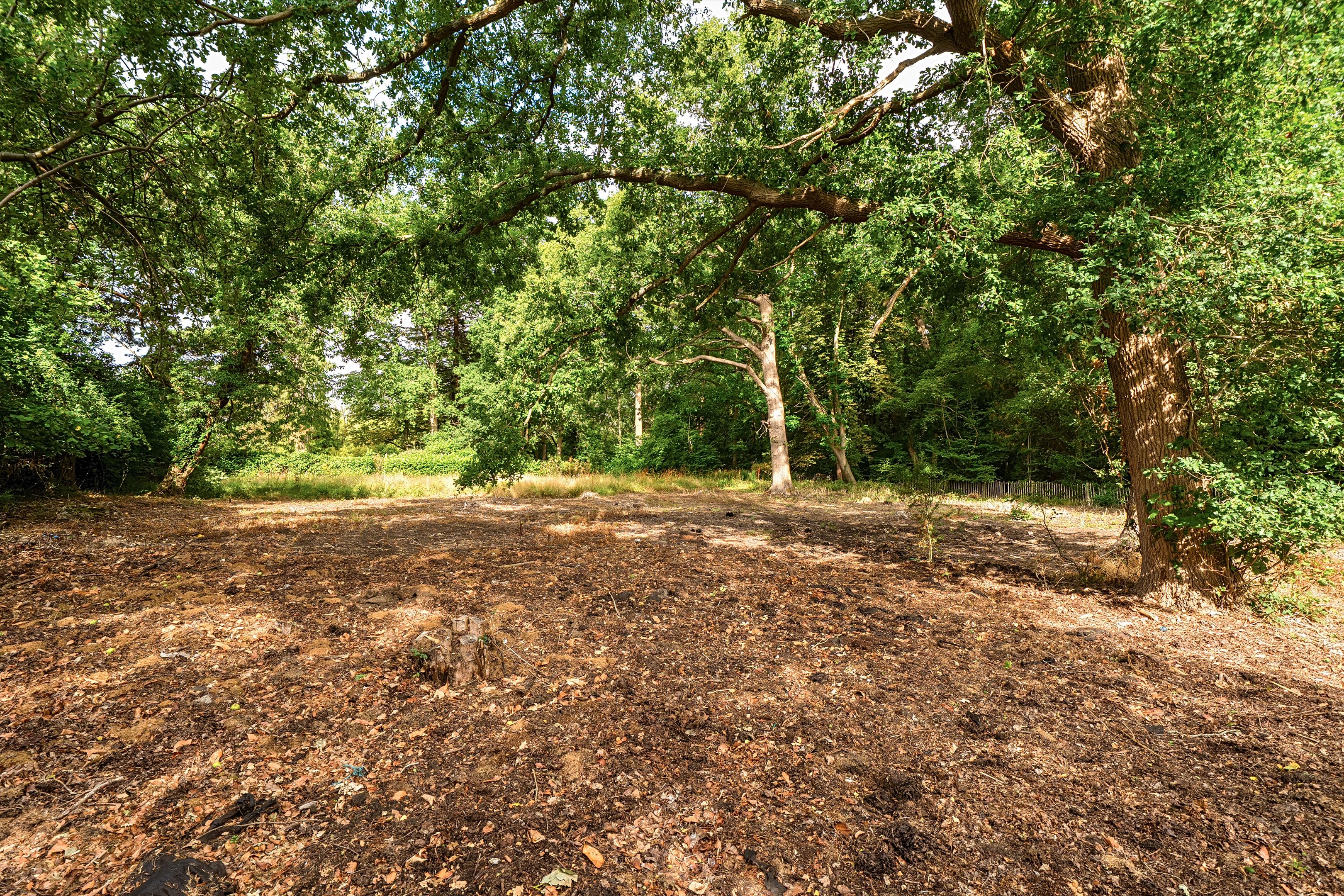 Ockham Road South, East Horsley, Surrey KT24