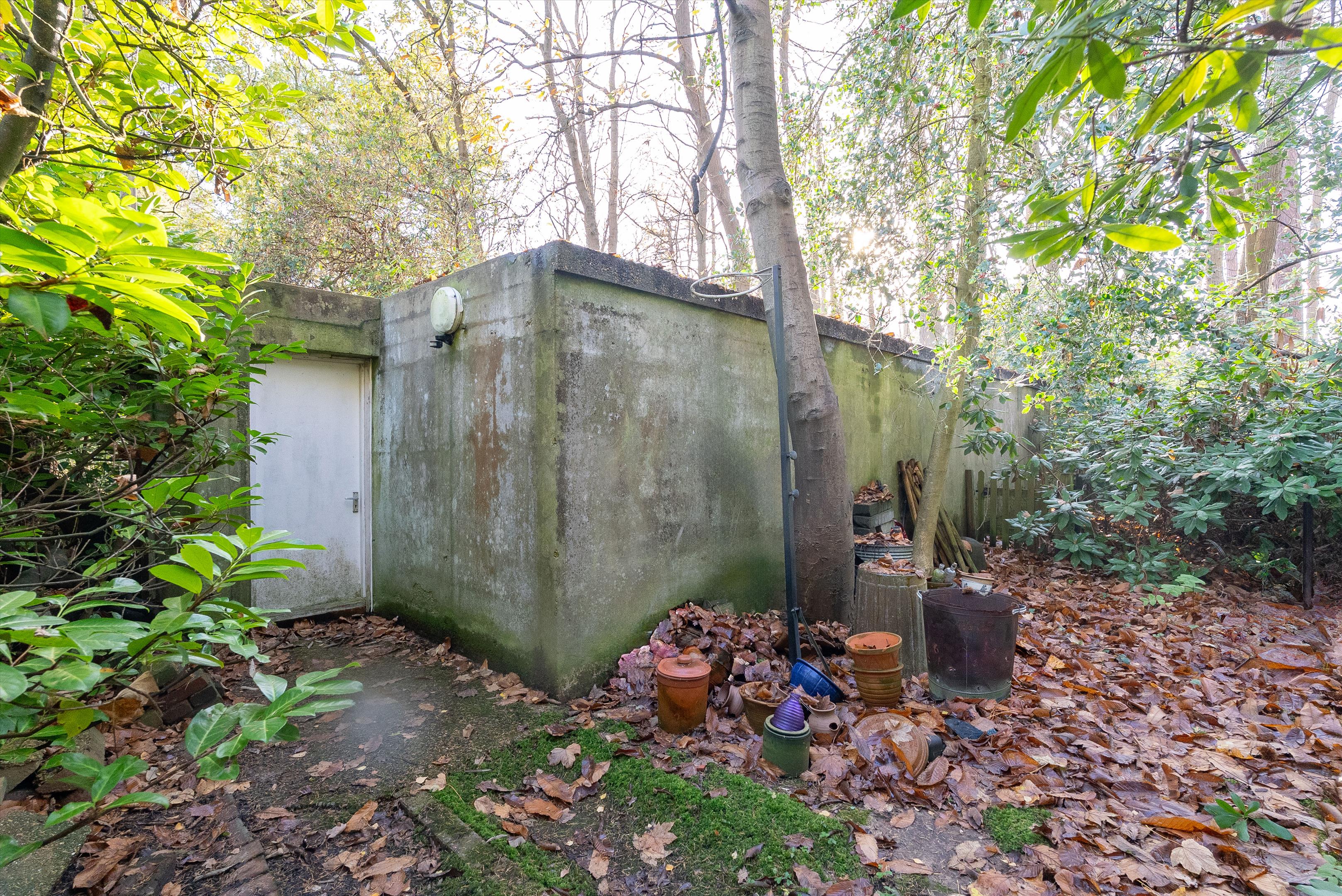 Lingwood, Byfleet Road, Cobham, KT11