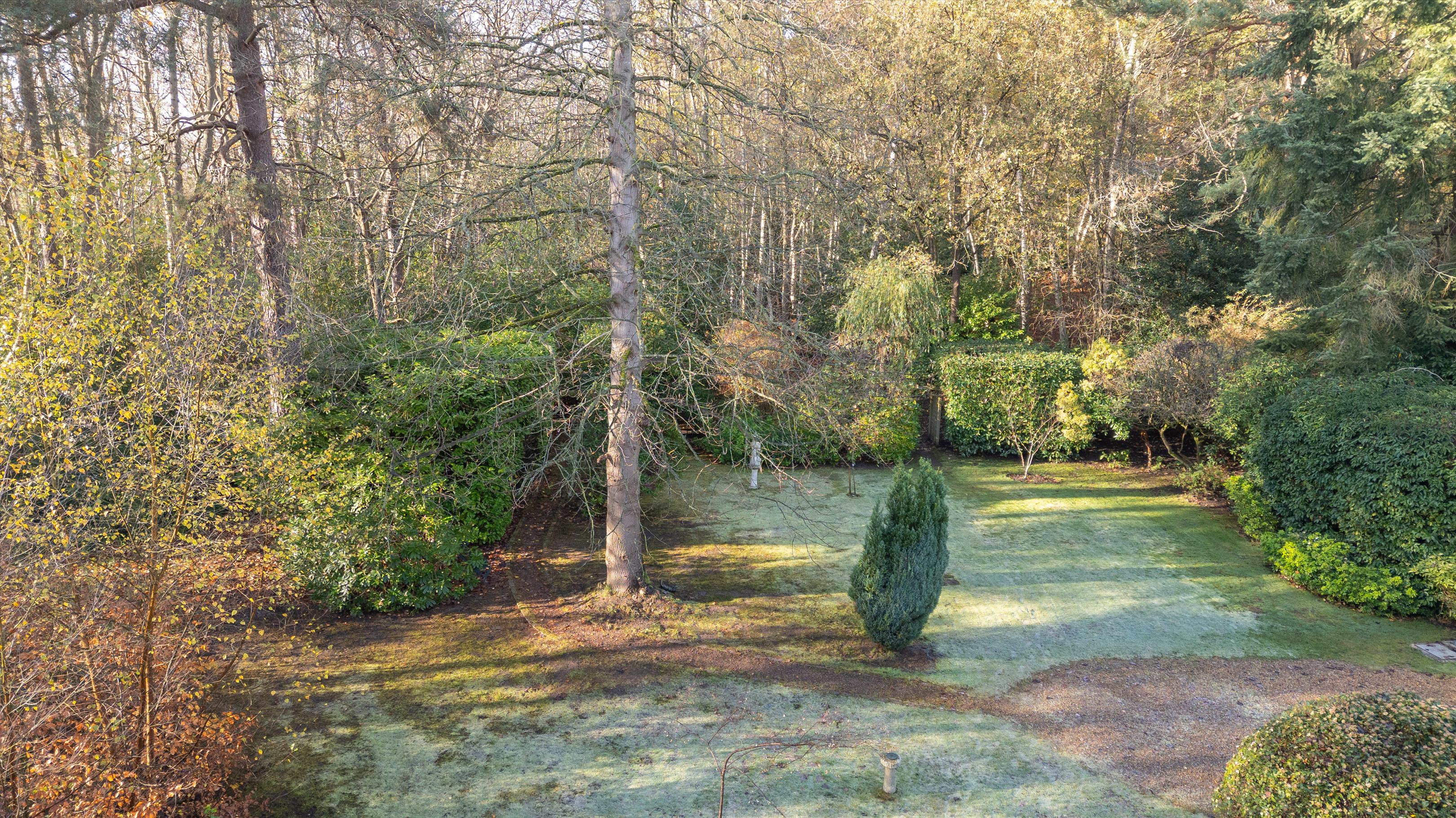 Lingwood, Byfleet Road, Cobham, KT11