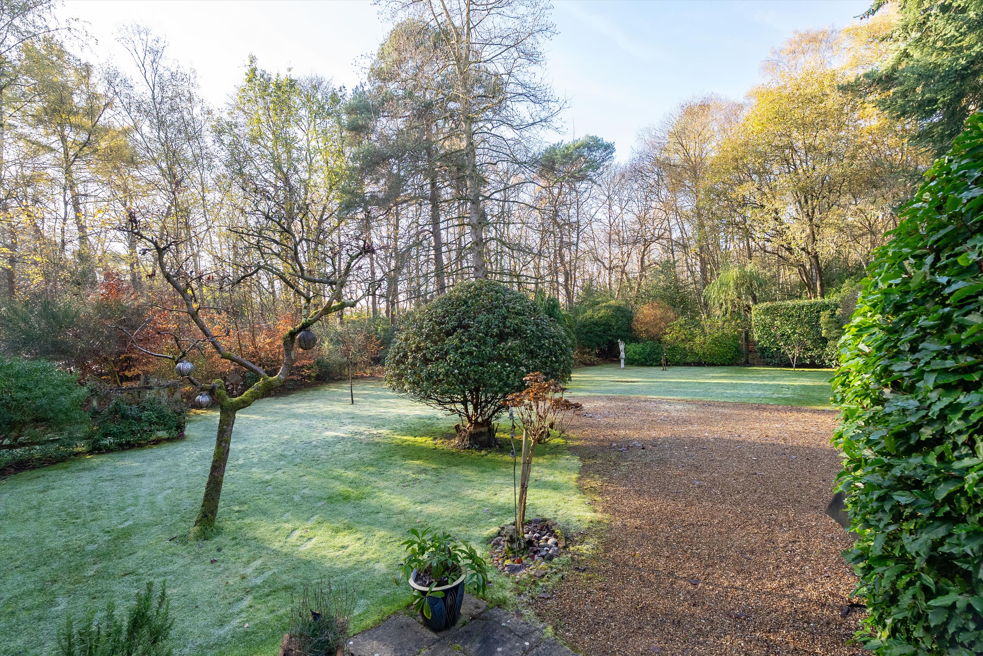 Lingwood, Byfleet Road, Cobham, KT11
