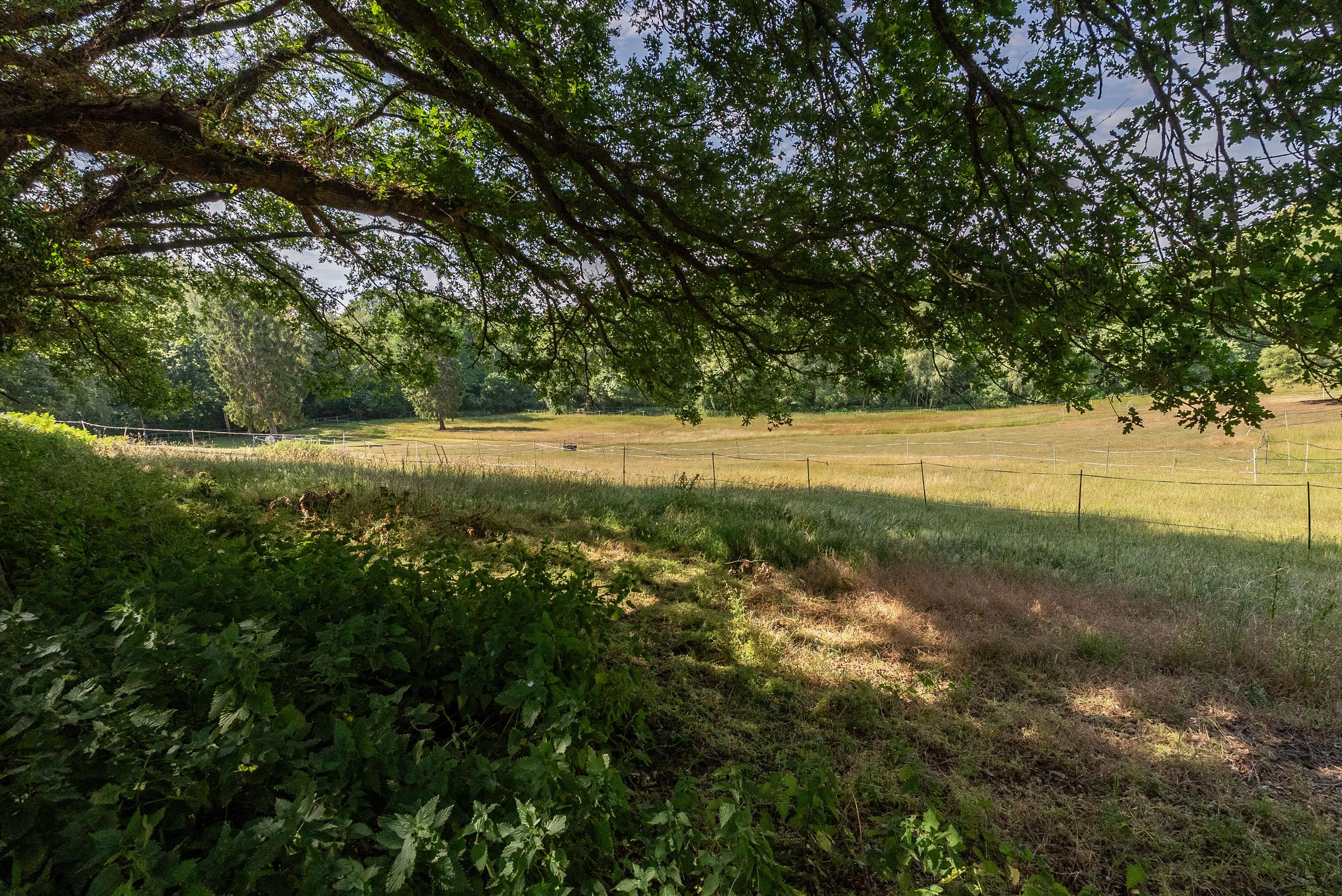 Redhill Road, Cobham, Surrey, KT11