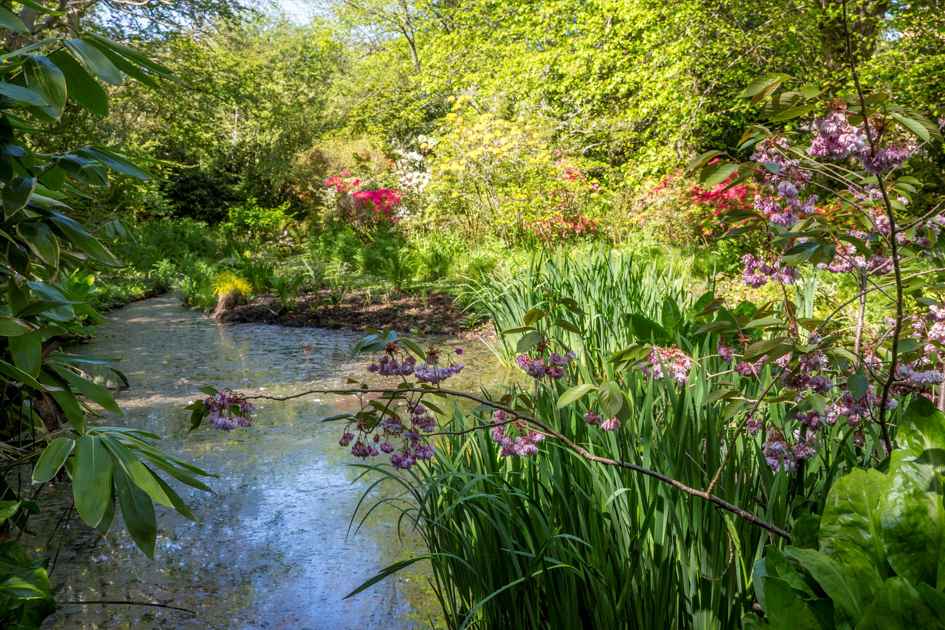 Ridgeway Lane, Lymington, Hampshire, SO41