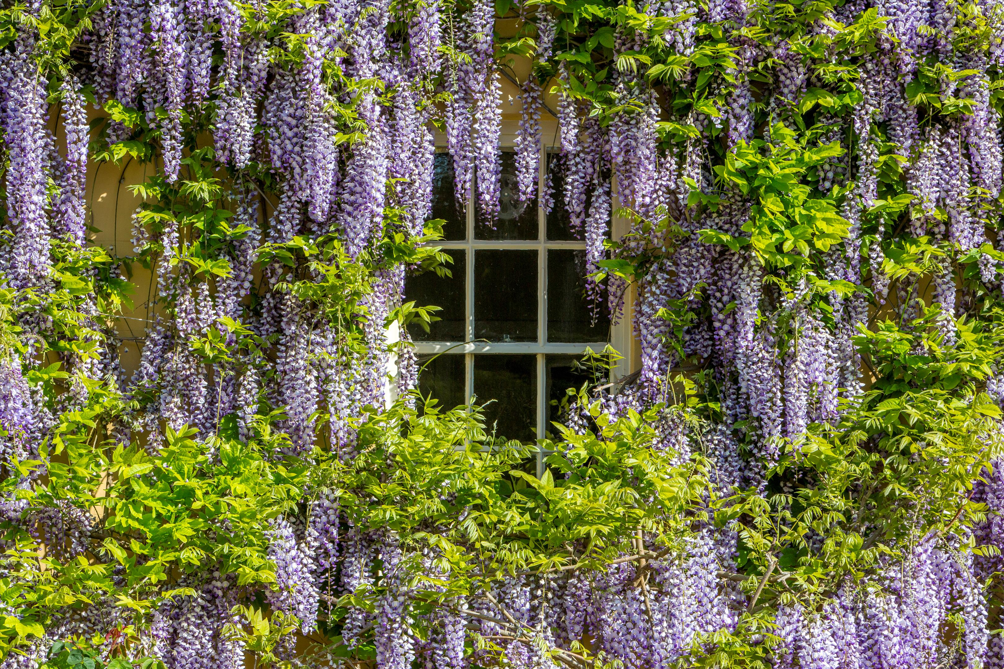 Ridgeway Lane, Lymington, Hampshire, SO41