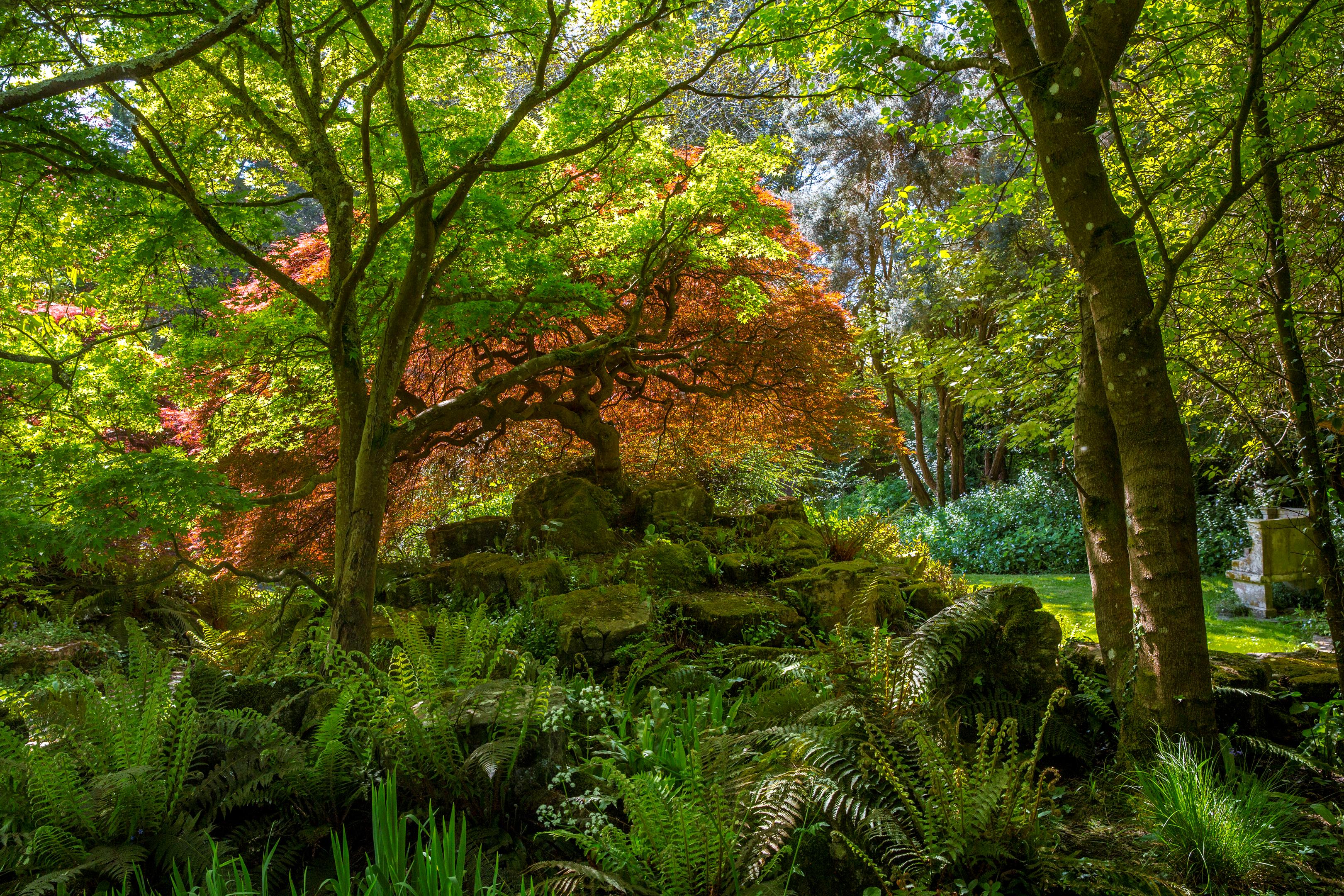 Ridgeway Lane, Lymington, Hampshire, SO41