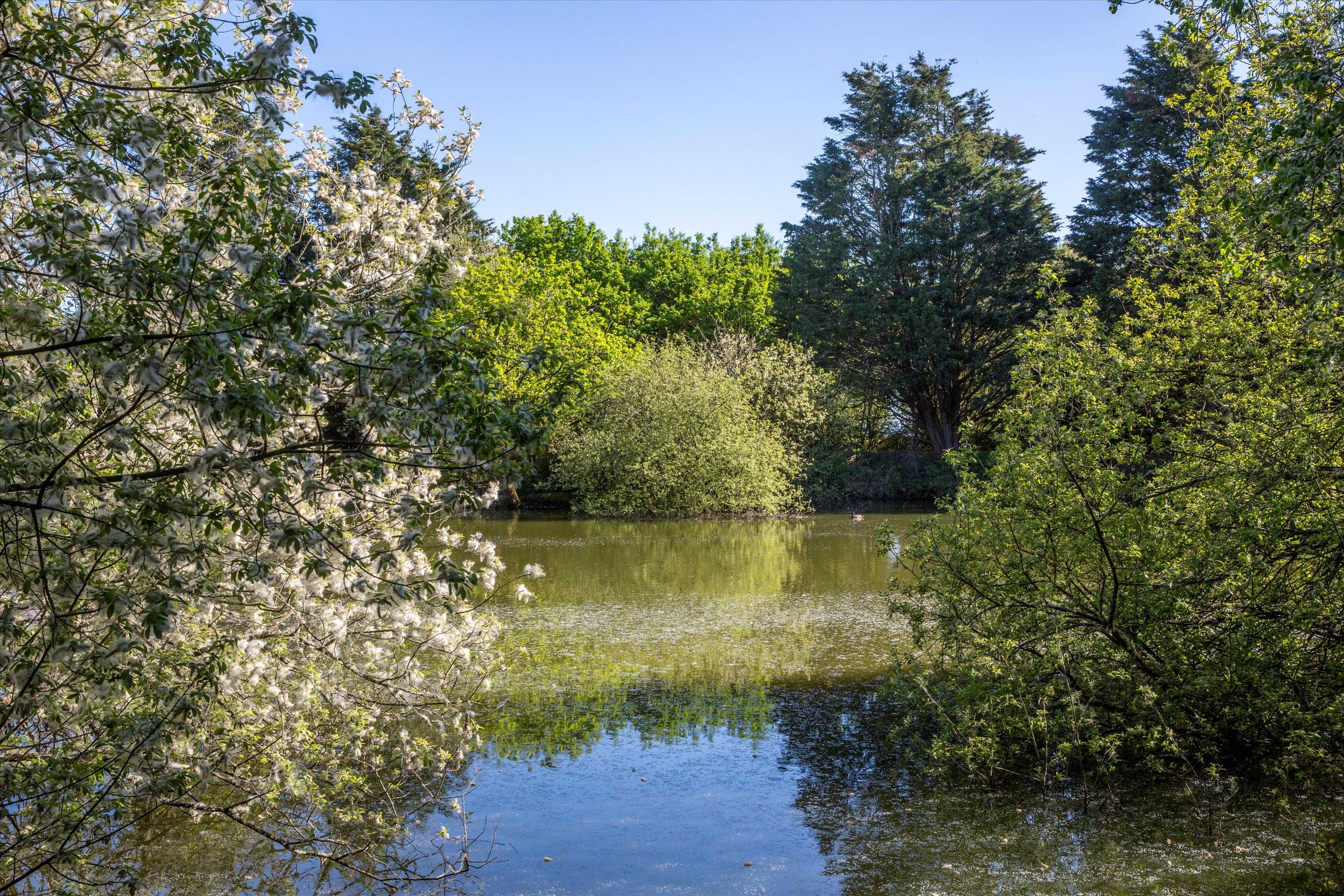 Ridgeway Lane, Lymington, Hampshire, SO41