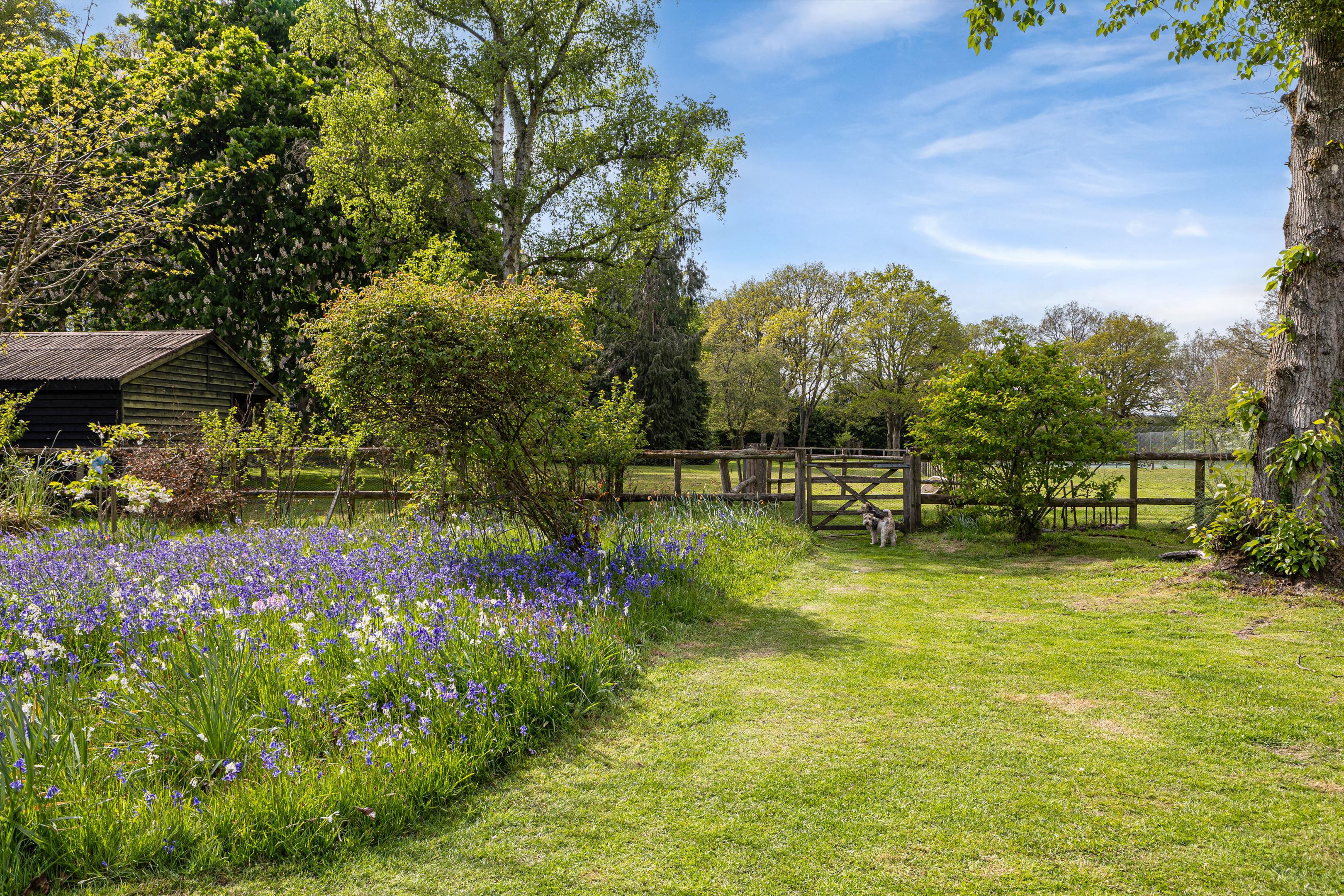 Coopers Hill, Eversley, Hook, Hampshire, RG27