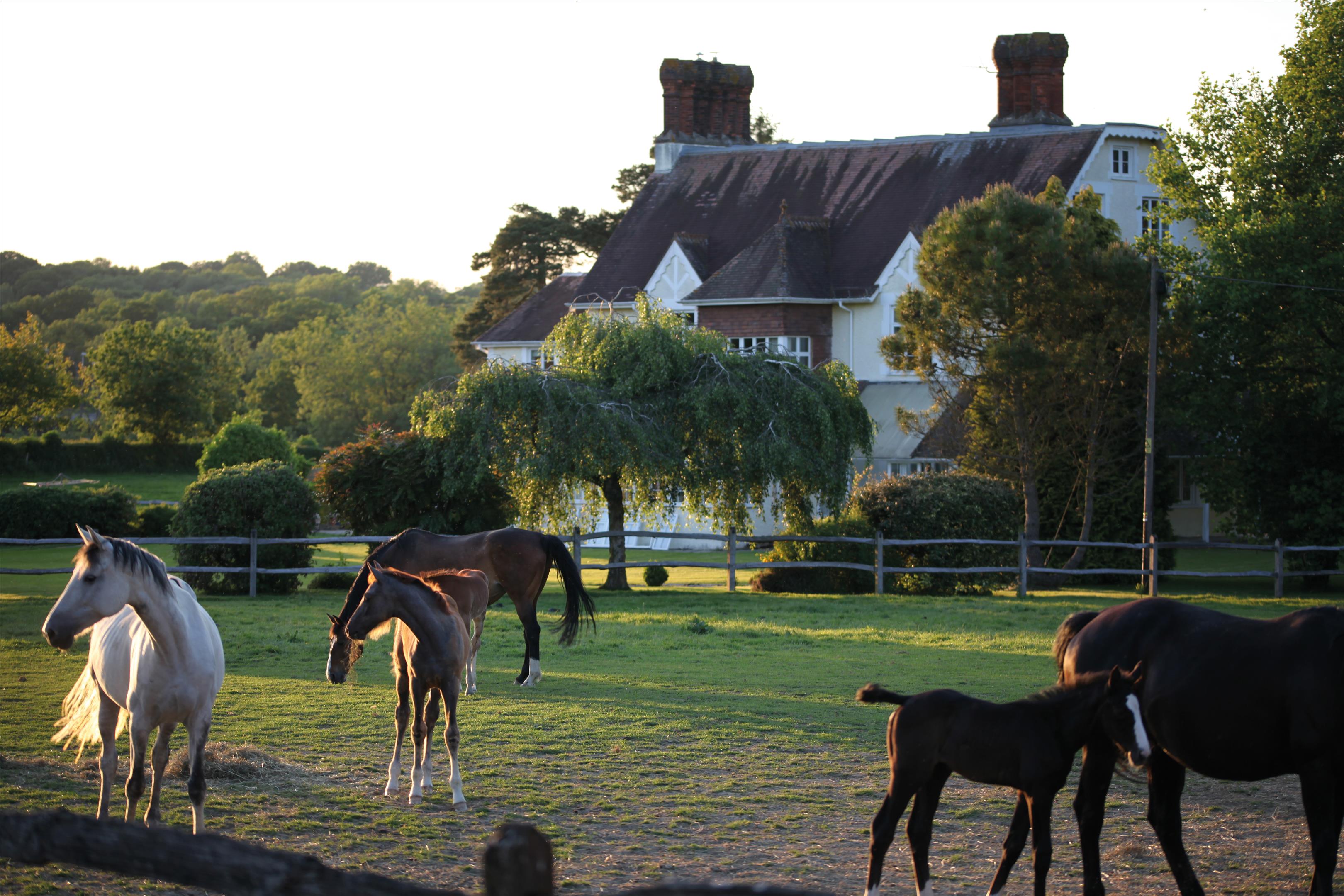Guildford Road, Broadbridge Heath, Horsham, West Sussex, RH12