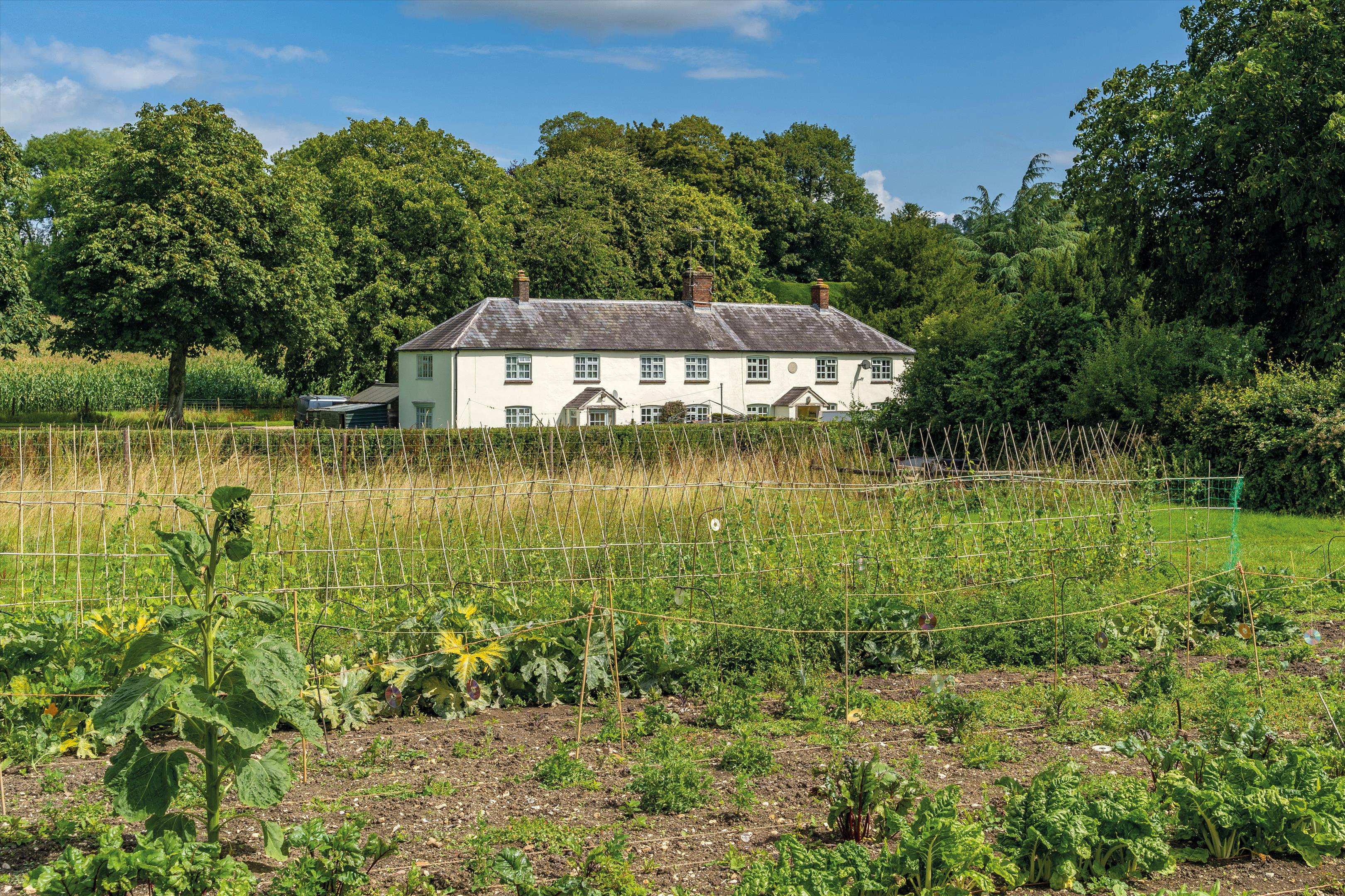 Melcombe Bingham, Dorchester, DT2