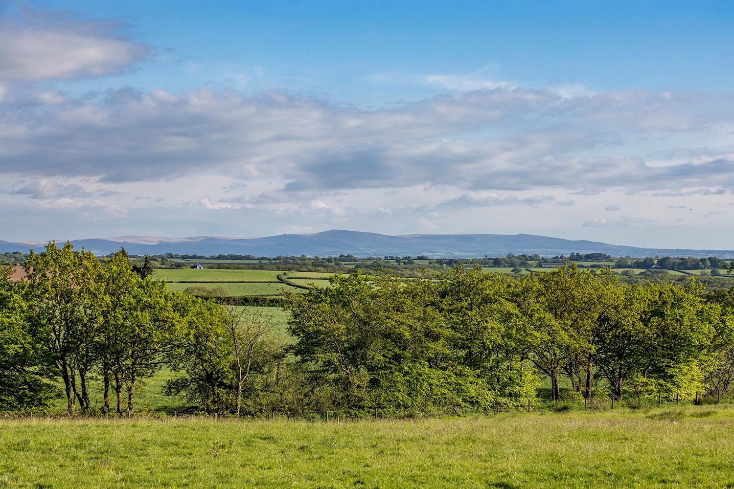 Roborough, Winkleigh, Devon, EX19