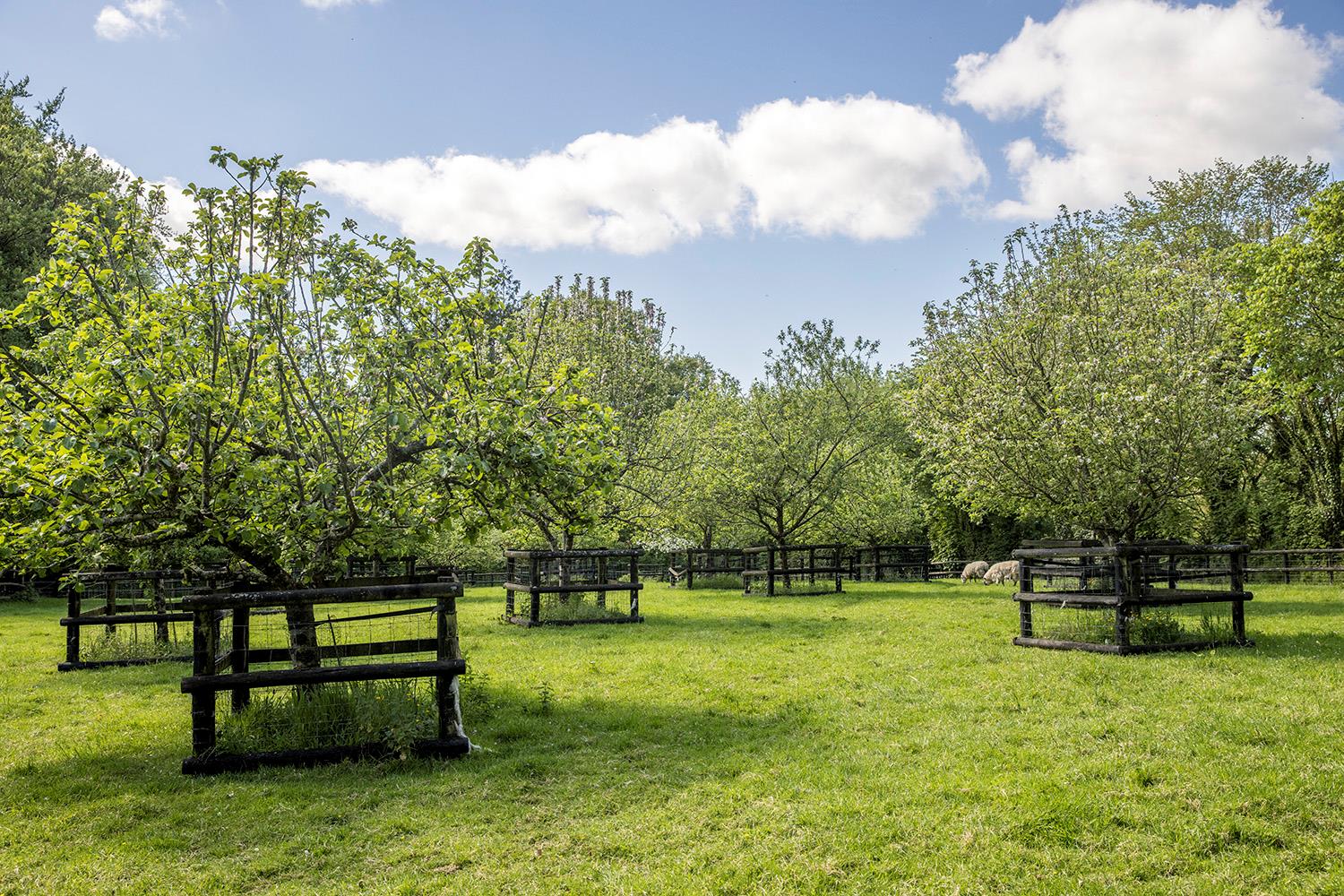 Roborough, Winkleigh, Devon, EX19