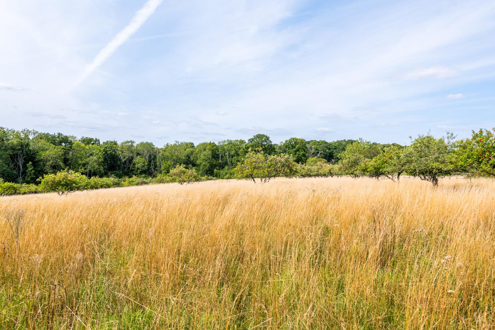 Lamberhurst, Kent, TN3