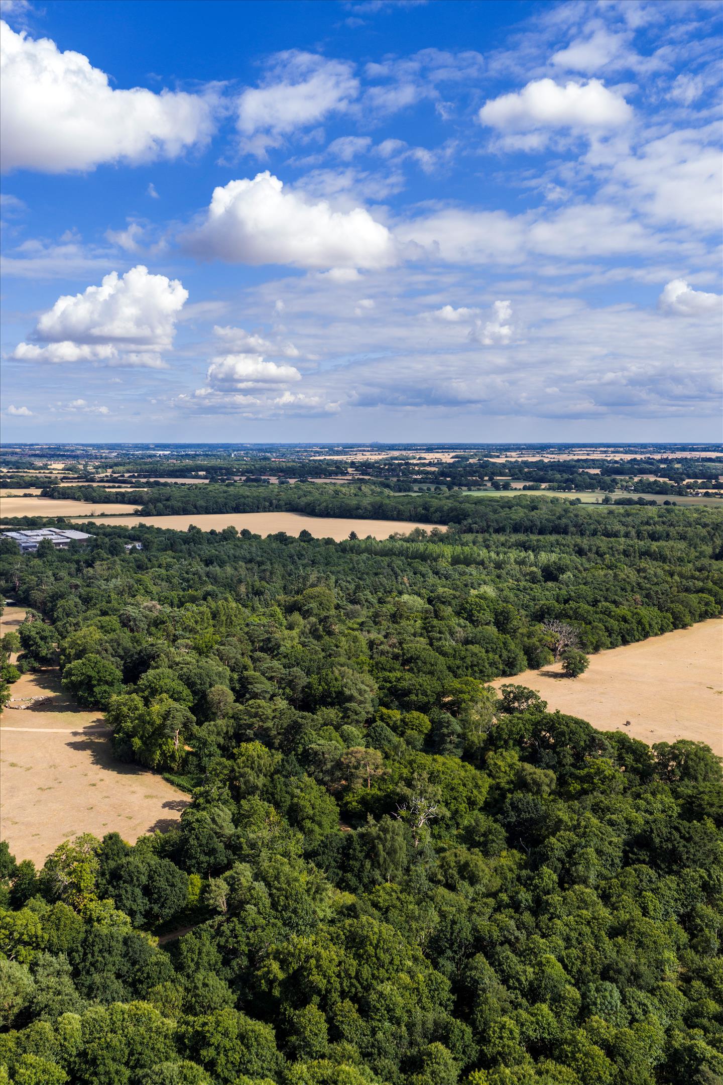 Haughley Park, Stowmarket, Suffolk IP14