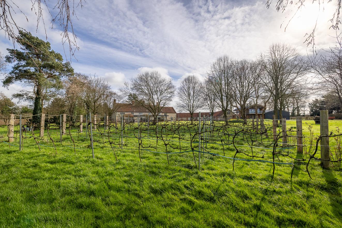 Muchelney Road, Baltonsborough, Glastonbury, Somerset, BA6
