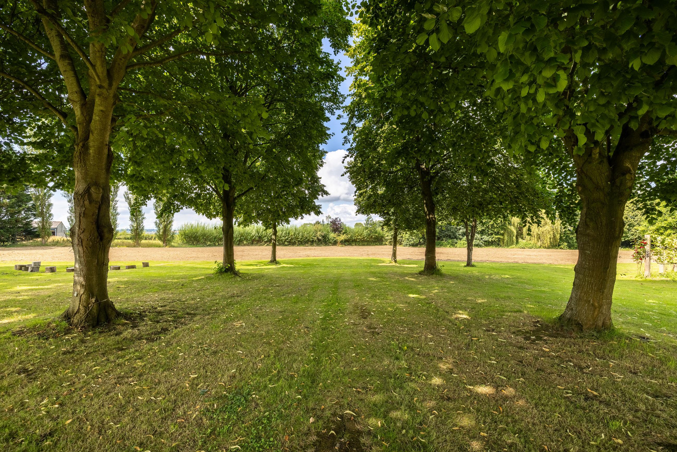 Muchelney Road, Baltonsborough, Glastonbury, Somerset, BA6