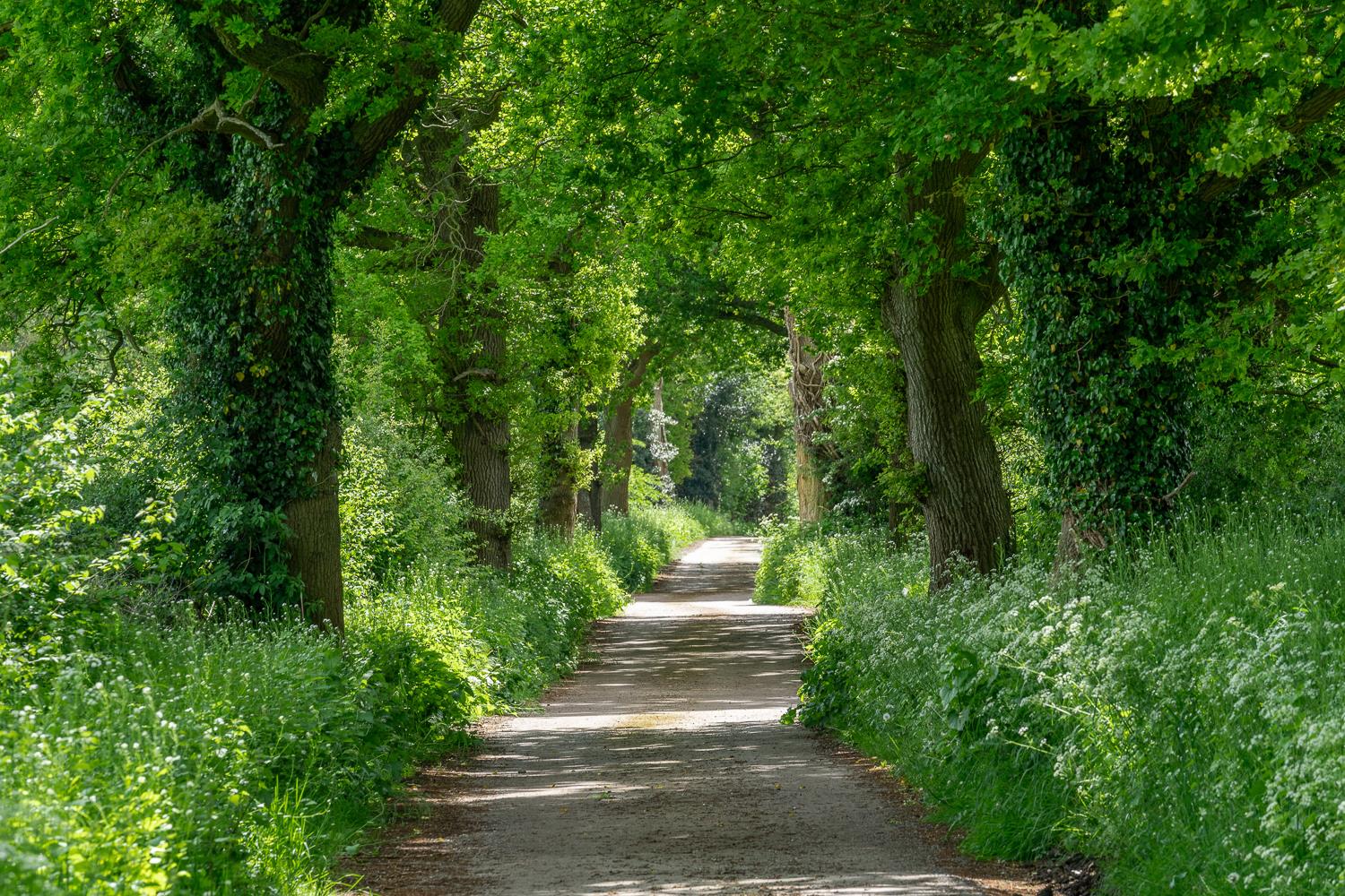 Overton, Basingstoke, Hampshire, RG25