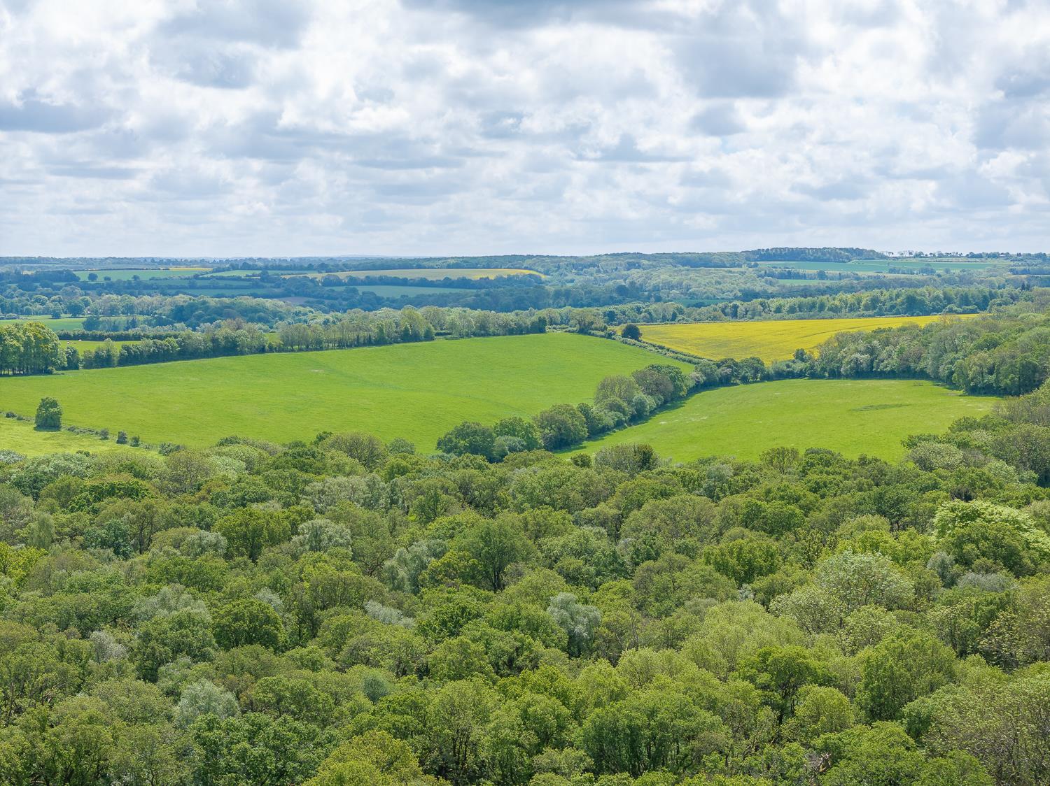 Overton, Basingstoke, Hampshire, RG25