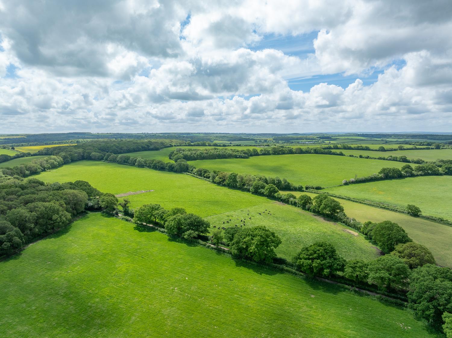 Overton, Basingstoke, Hampshire, RG25