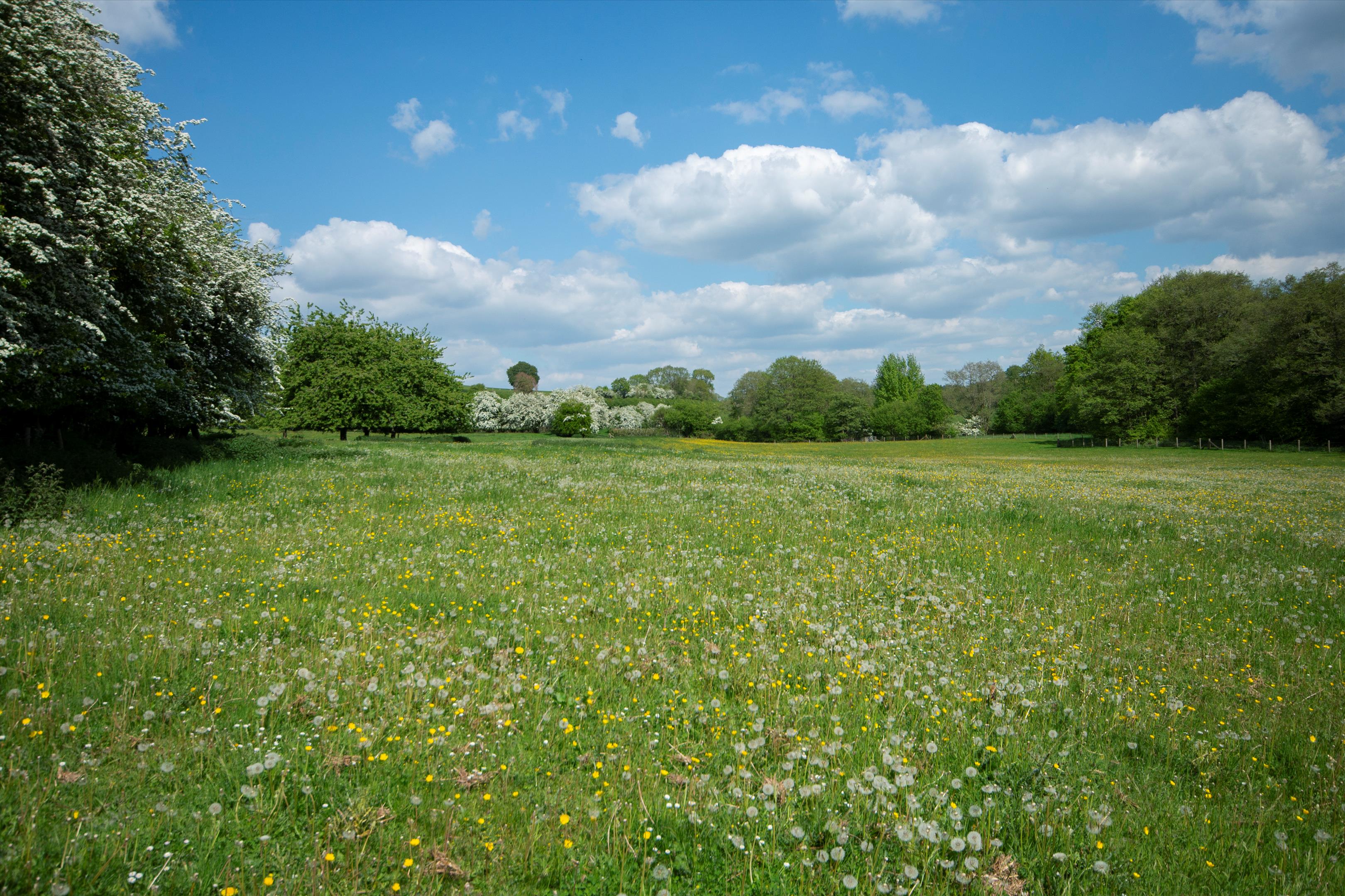 Ford Abbey, Pudleston, Herefordshire., HR6