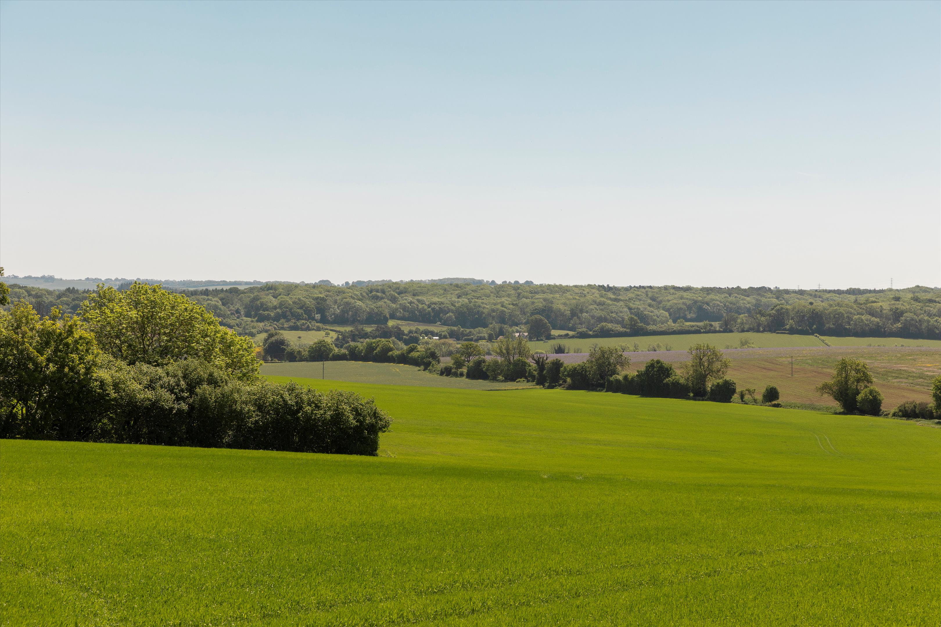 Stokke Common, Great Bedwyn, Marlborough, Wiltshire, SN8