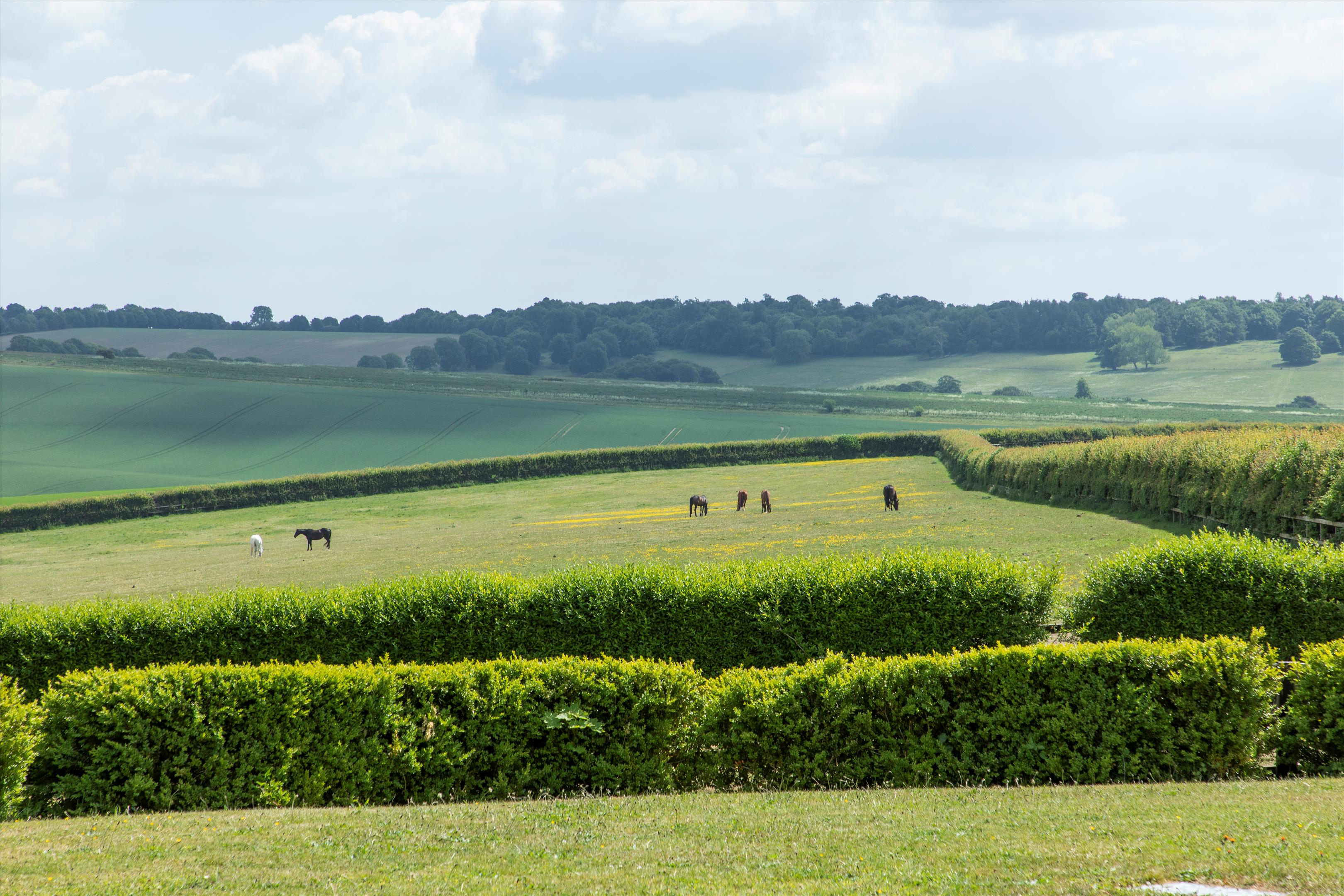 Fawley, Wantage, Oxfordshire, OX12