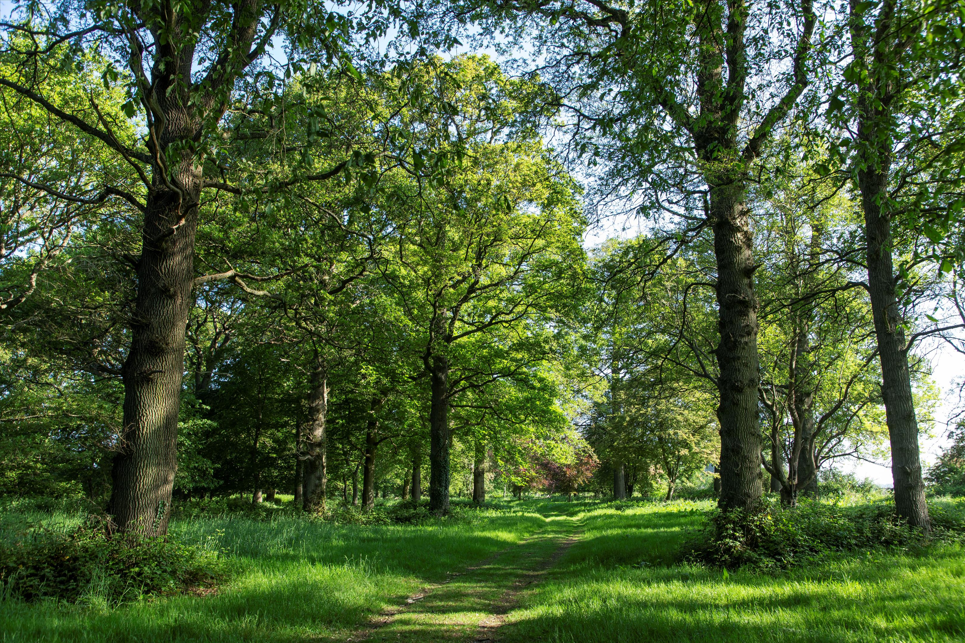 Fawley, Wantage, Oxfordshire, OX12