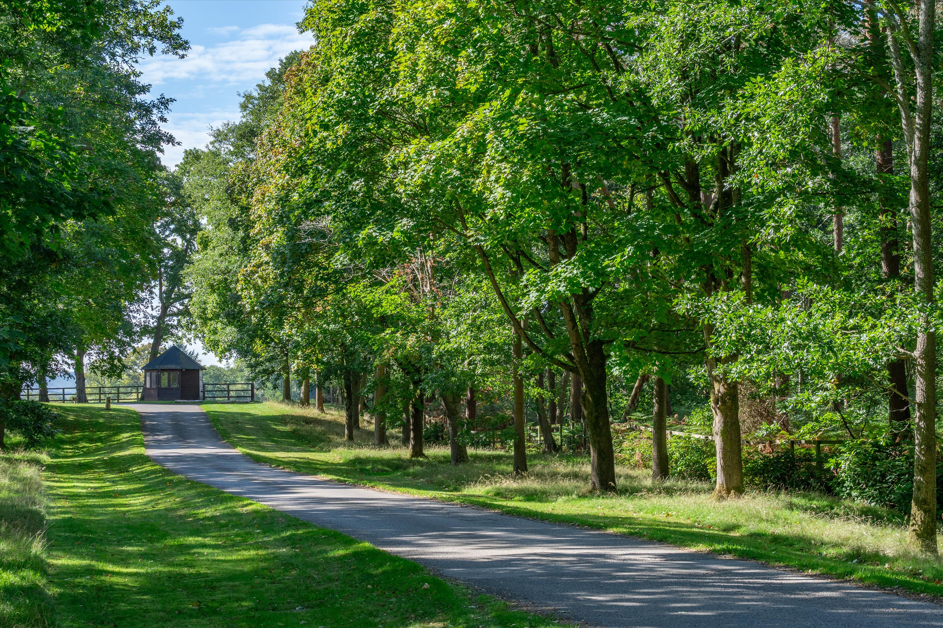 Headley, Thatcham, Hampshire, RG19
