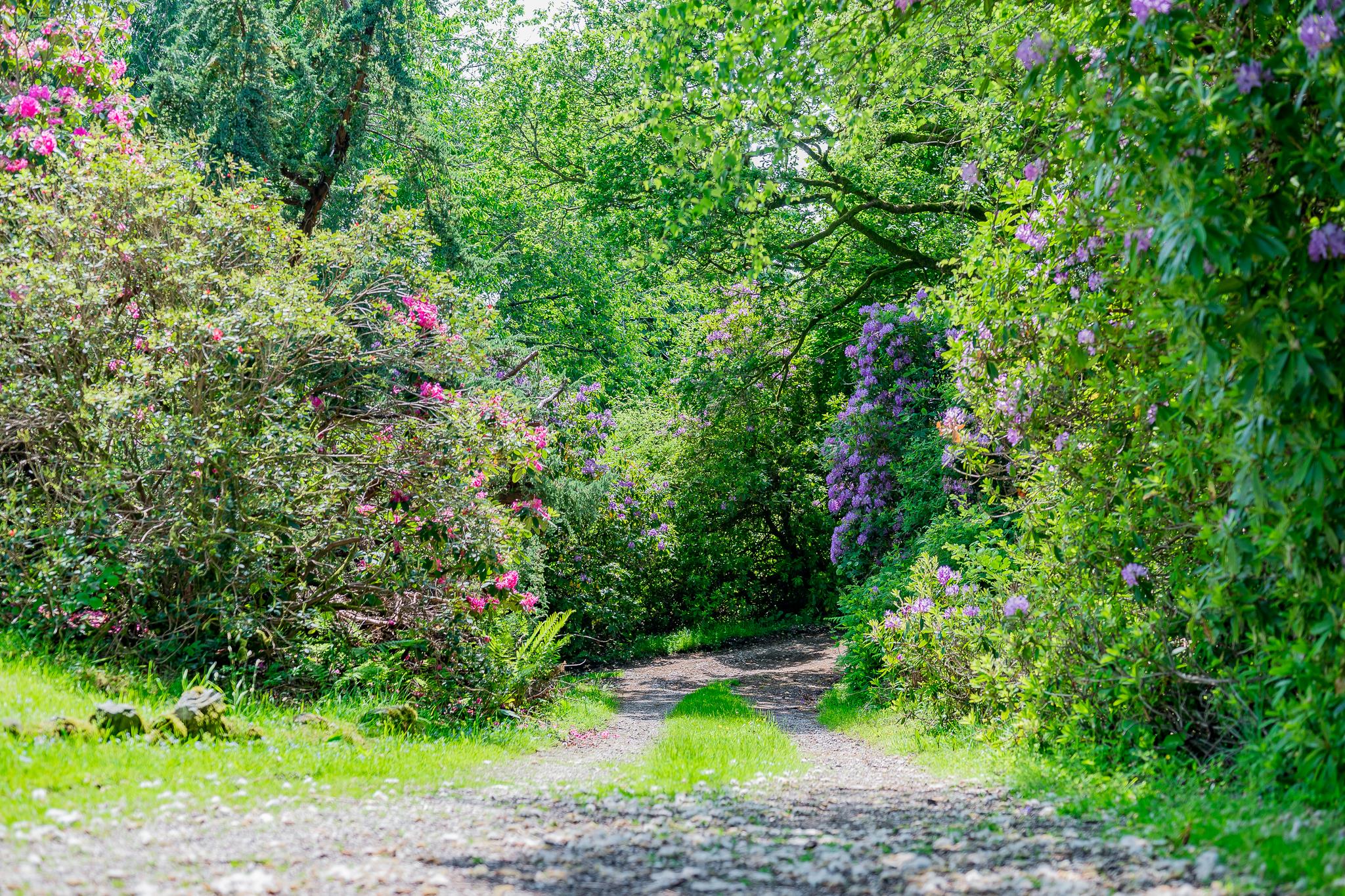 Windermere, Cumbria LA23