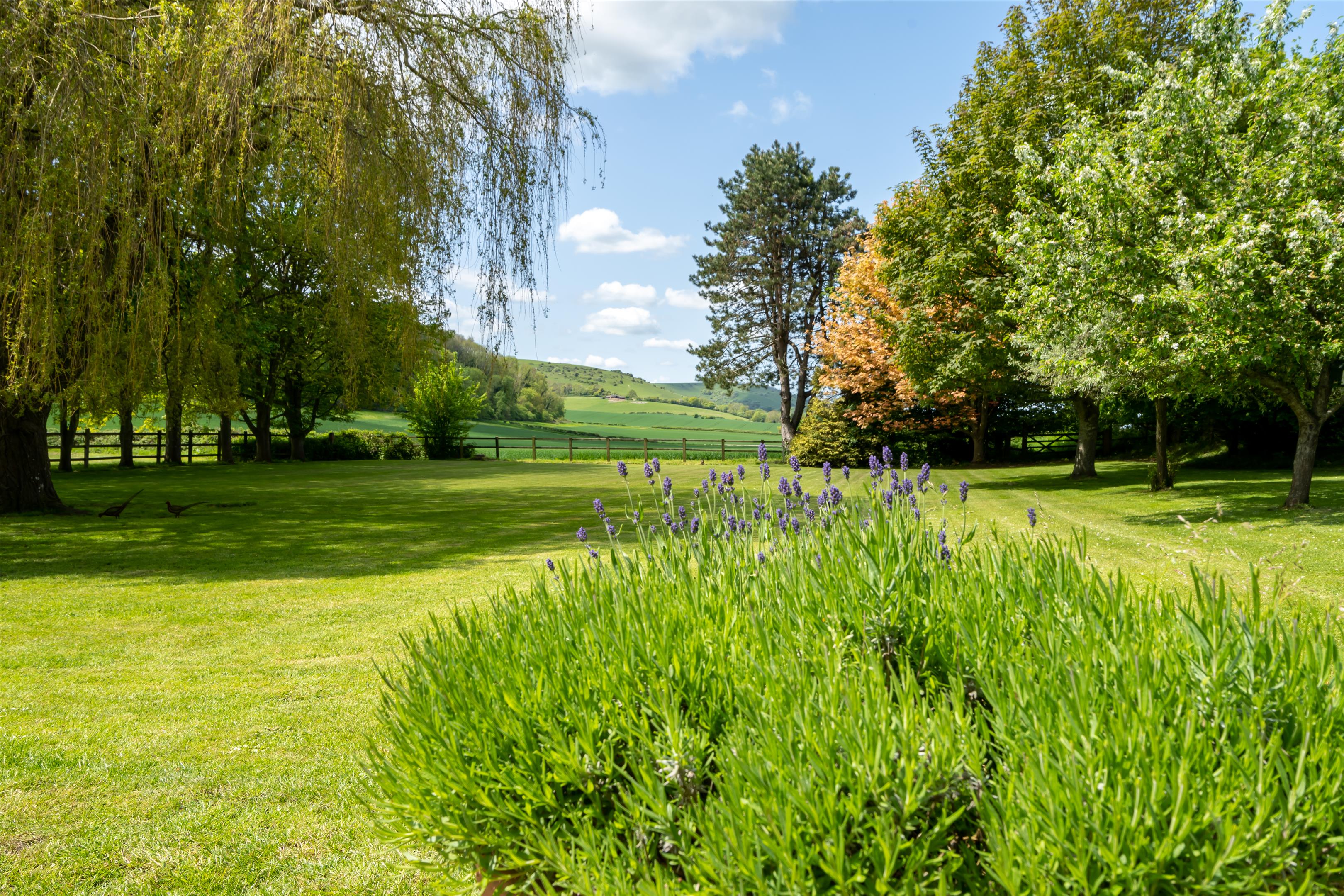 The Street, Washington, Pulborough, West Sussex, RH20