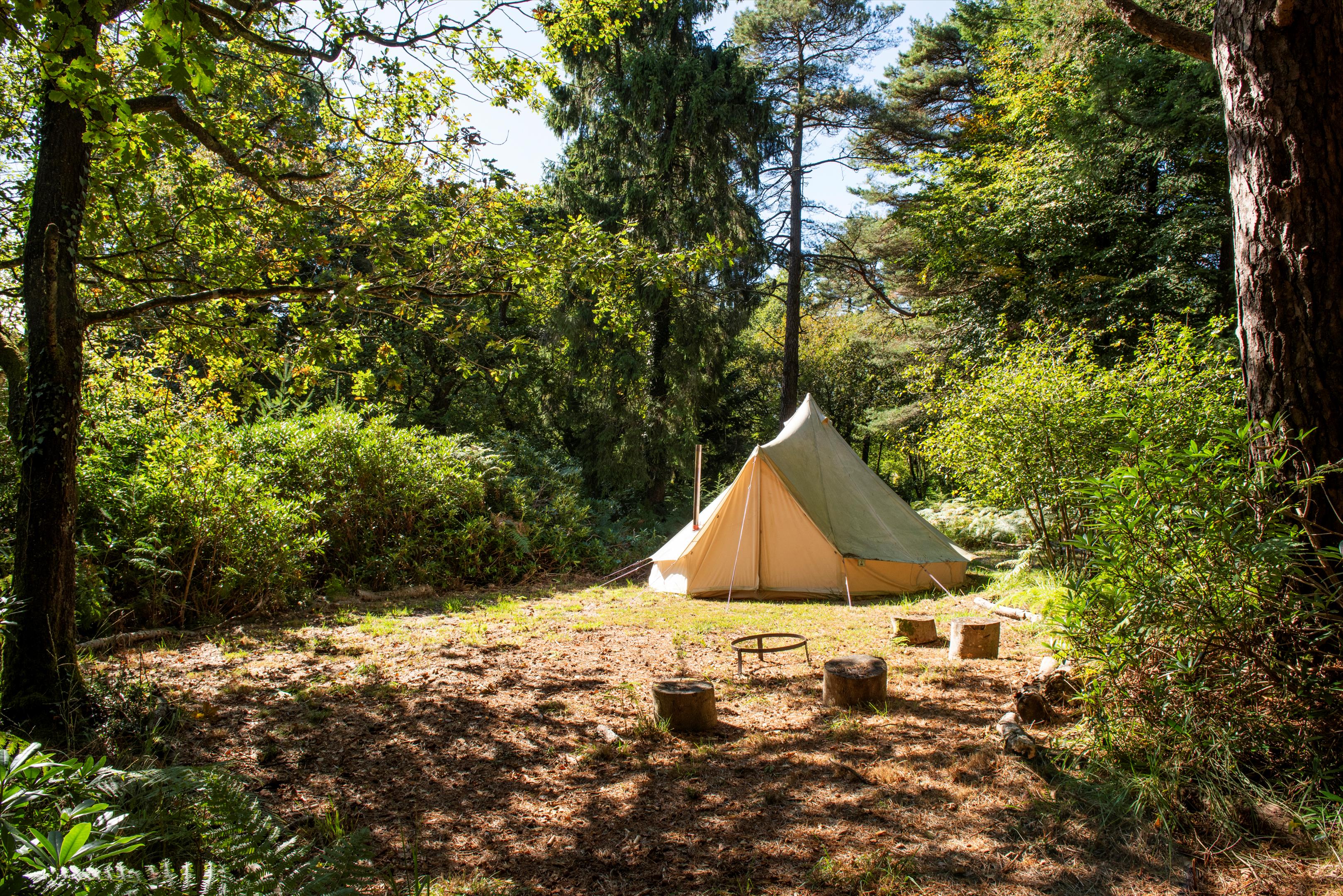St. Marys Lane, Uplyme, Lyme Regis, Devon, DT7
