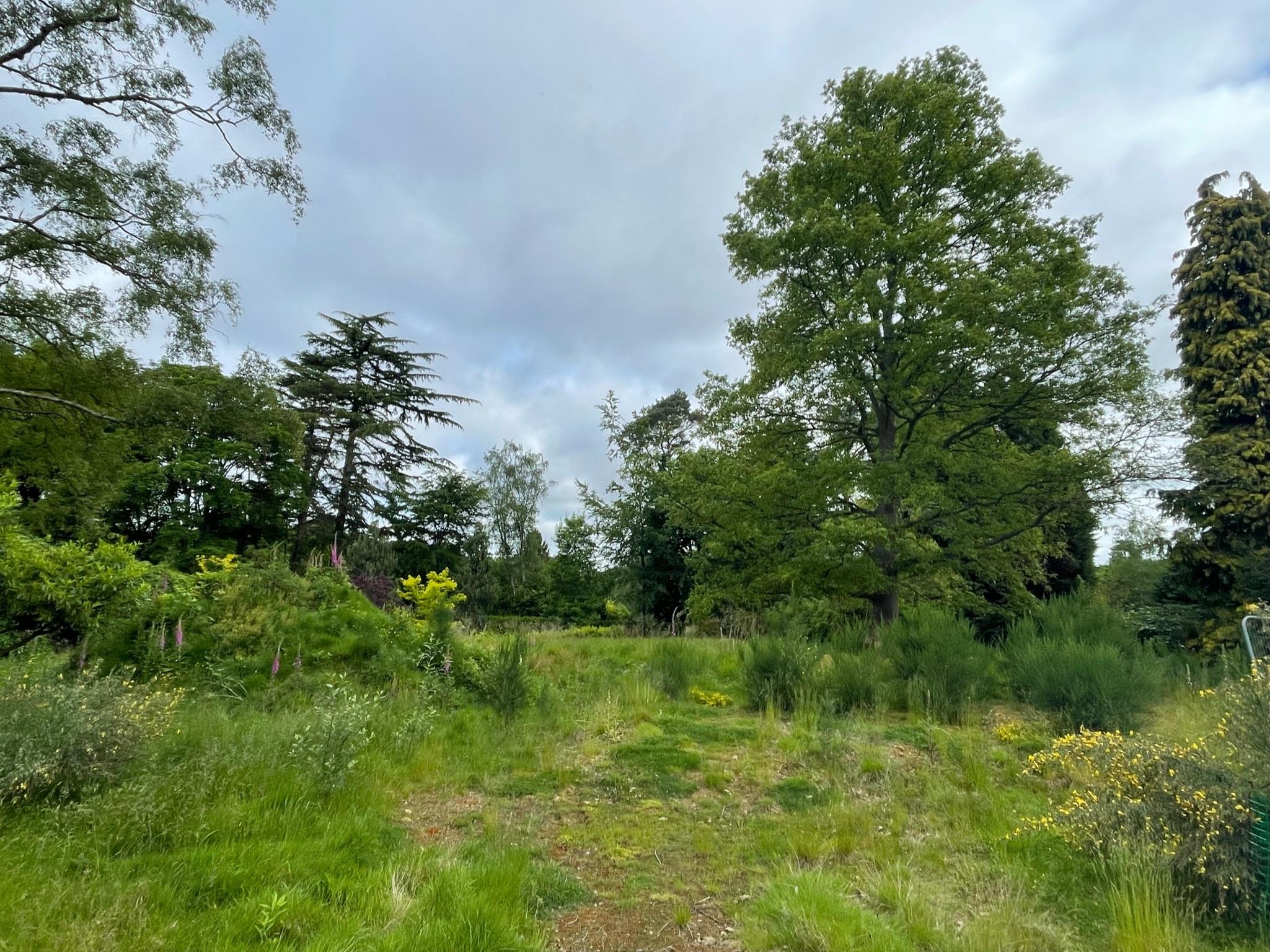 Parkfield, Sevenoaks, Kent, TN15