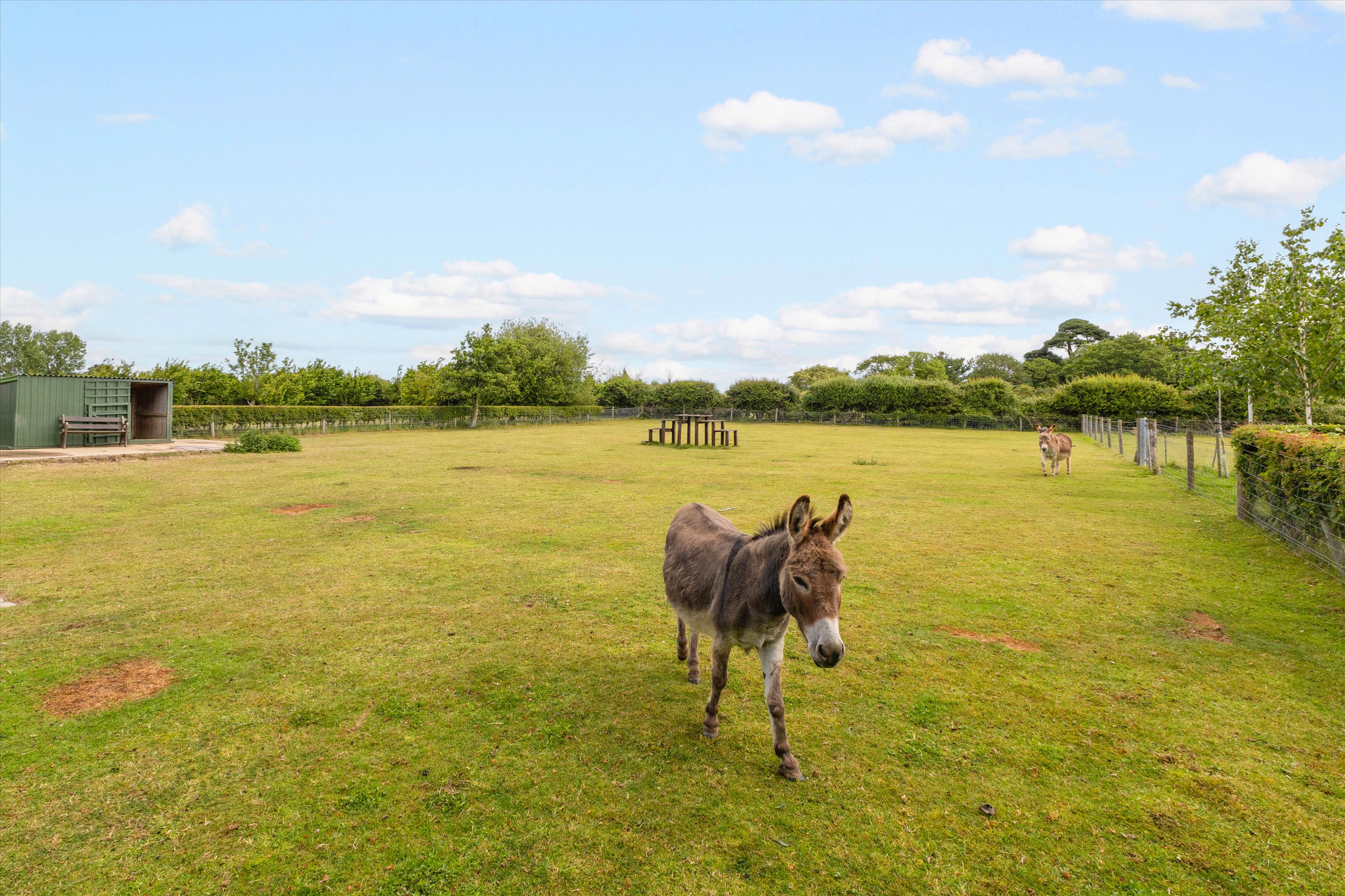 Mill Lane, Sidlesham, Chichester, West Sussex PO20