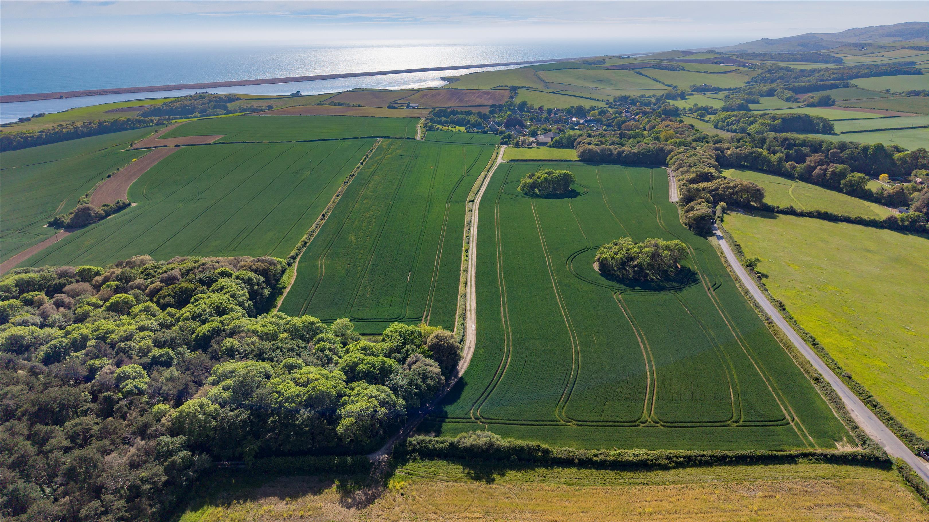 Langton Herring, Dorset, DT3