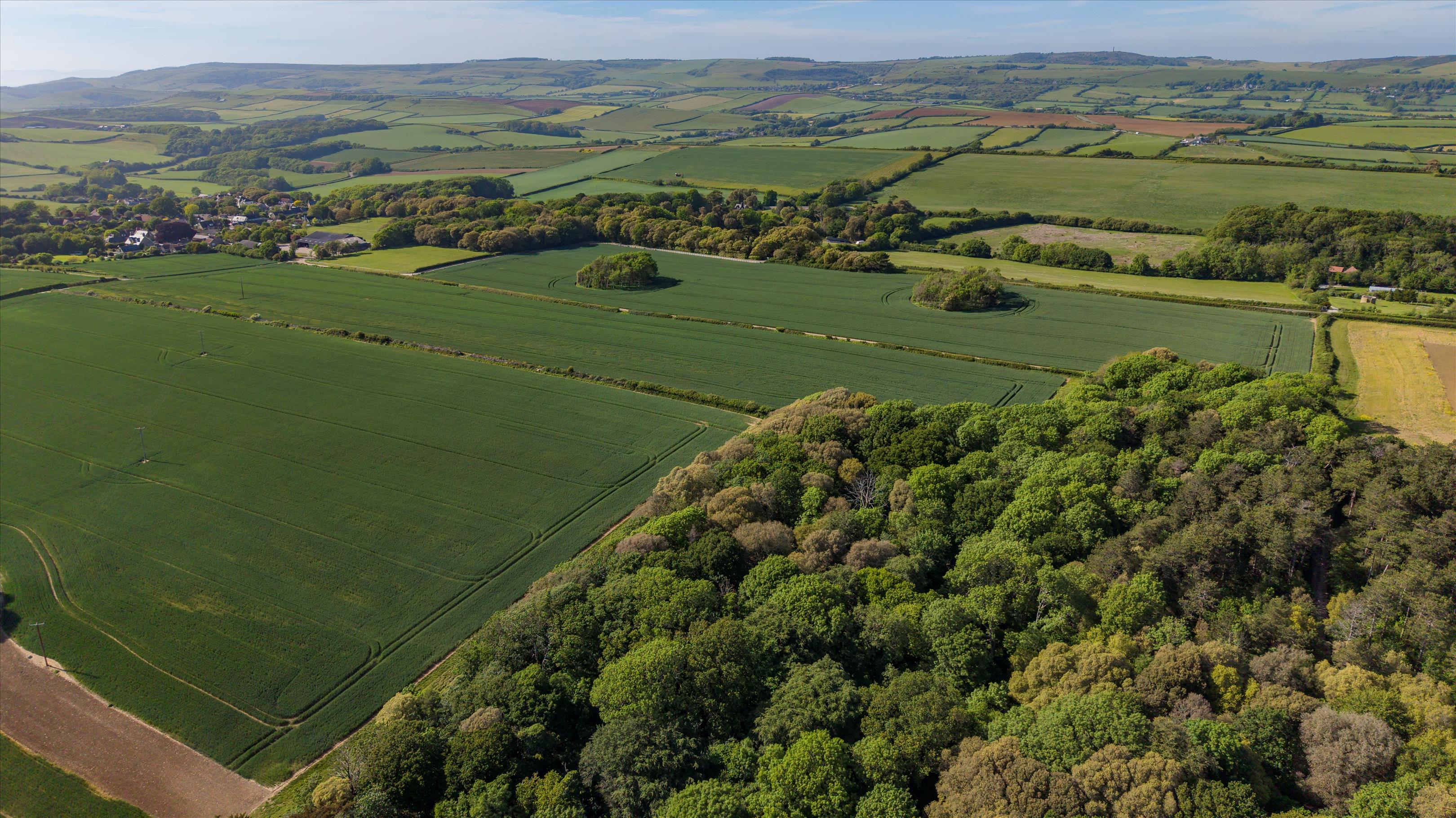 Langton Herring, Dorset, DT3