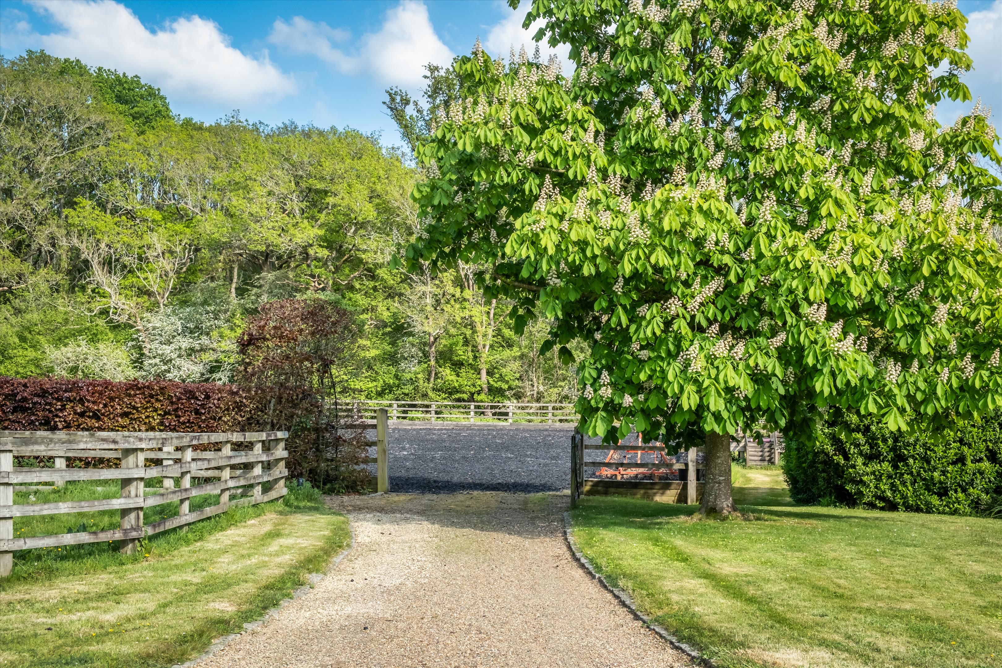 Hook House Lane, Dunsfold, Godalming, Surrey GU8.
