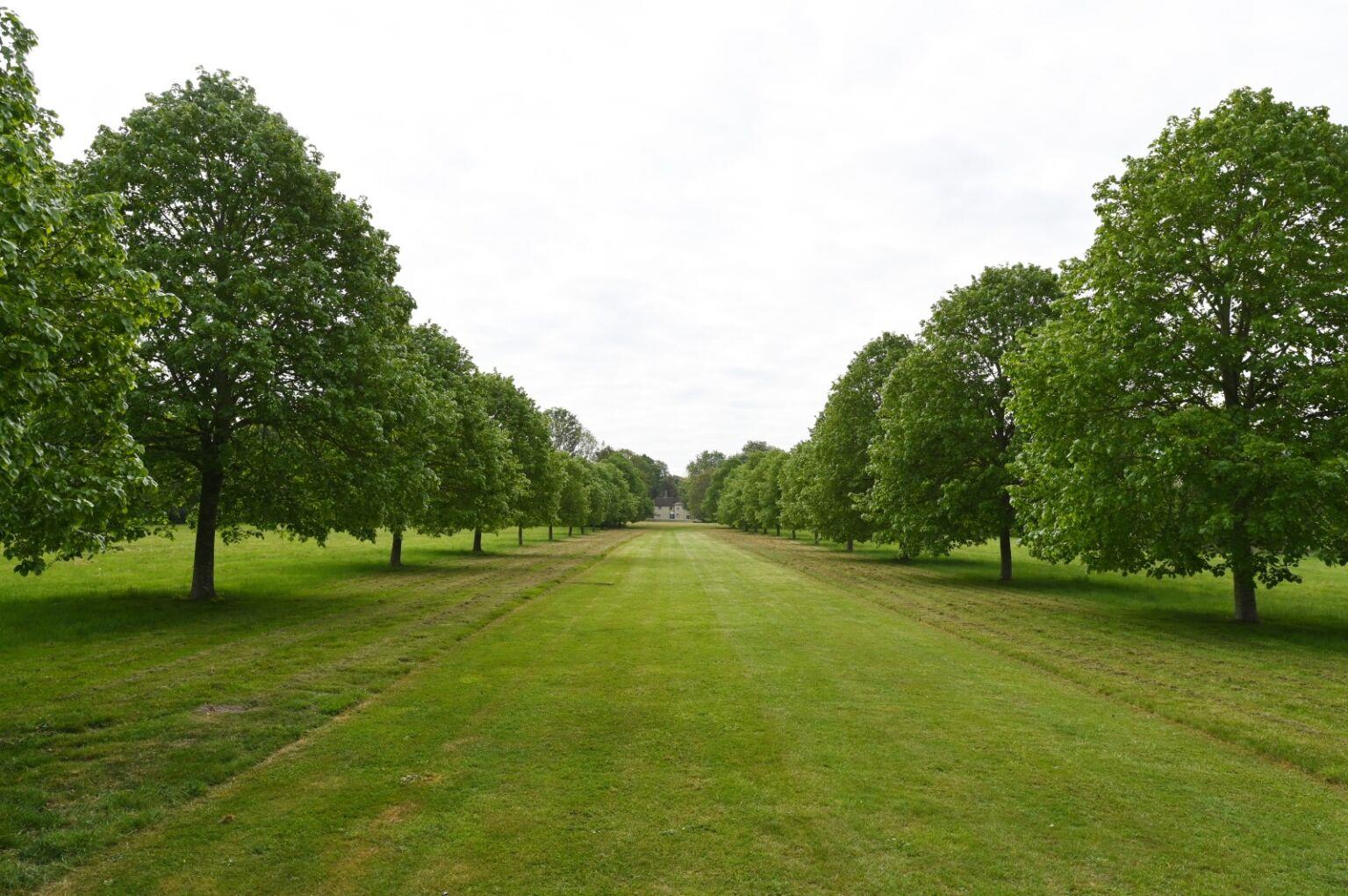 Swaffham Prior, Cambridge, CB25