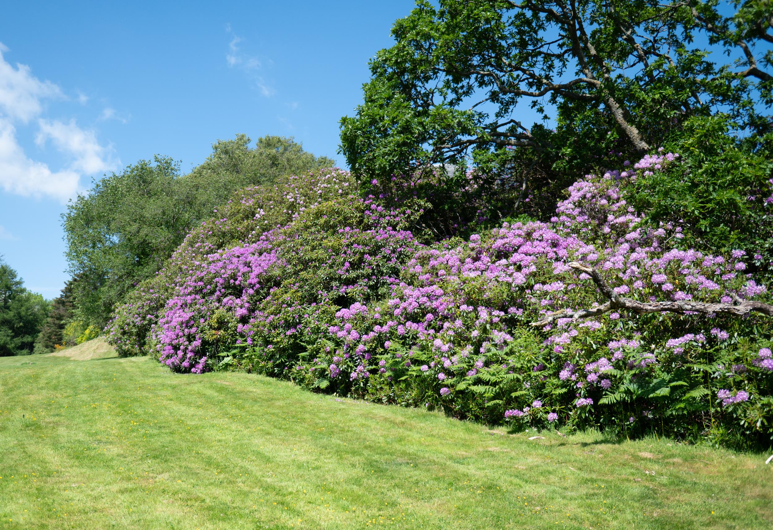 Dippen, Isle of Arran, North Ayrshire, KA27