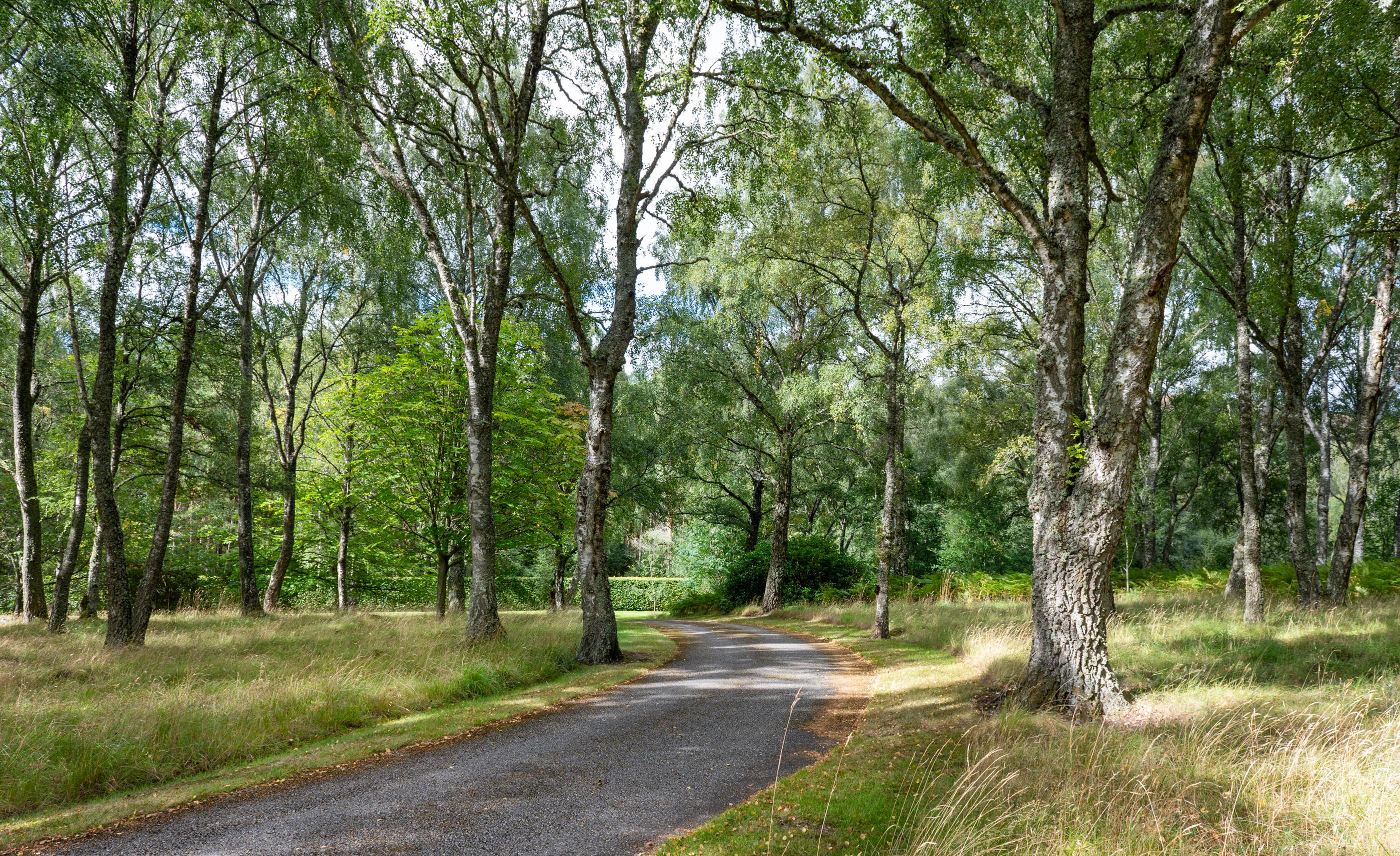 Advie, Grantown-on-Spey, Morayshire, PH26