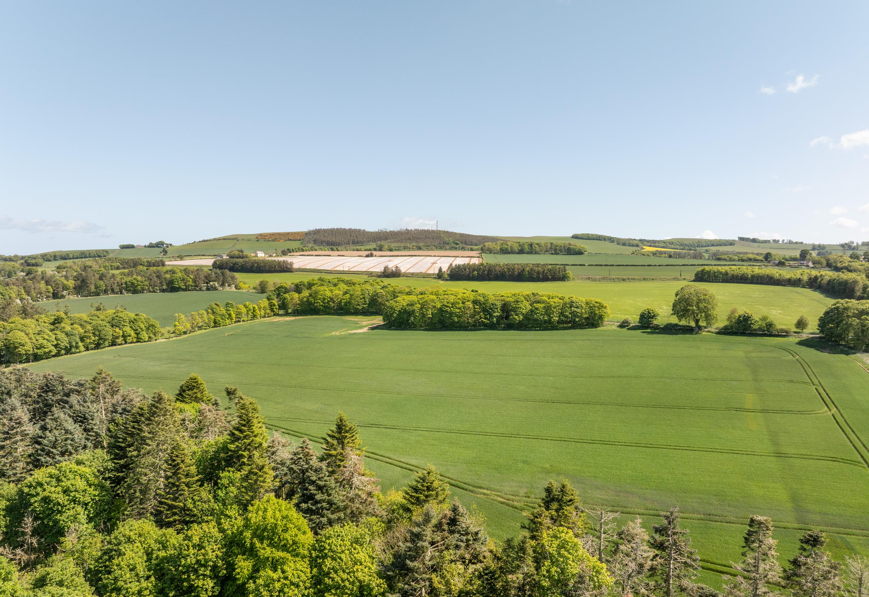 Ayton, Berwickshire, TD14