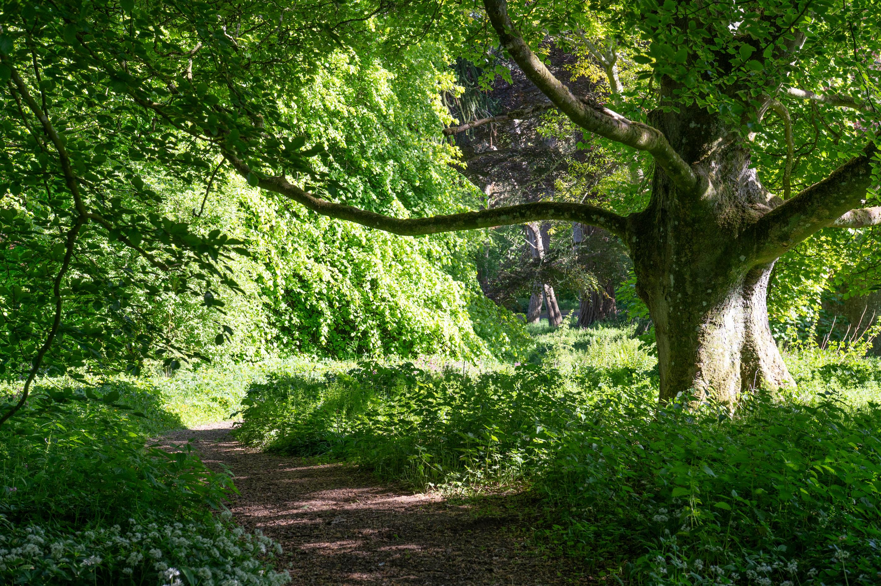 Ayton, Berwickshire, TD14