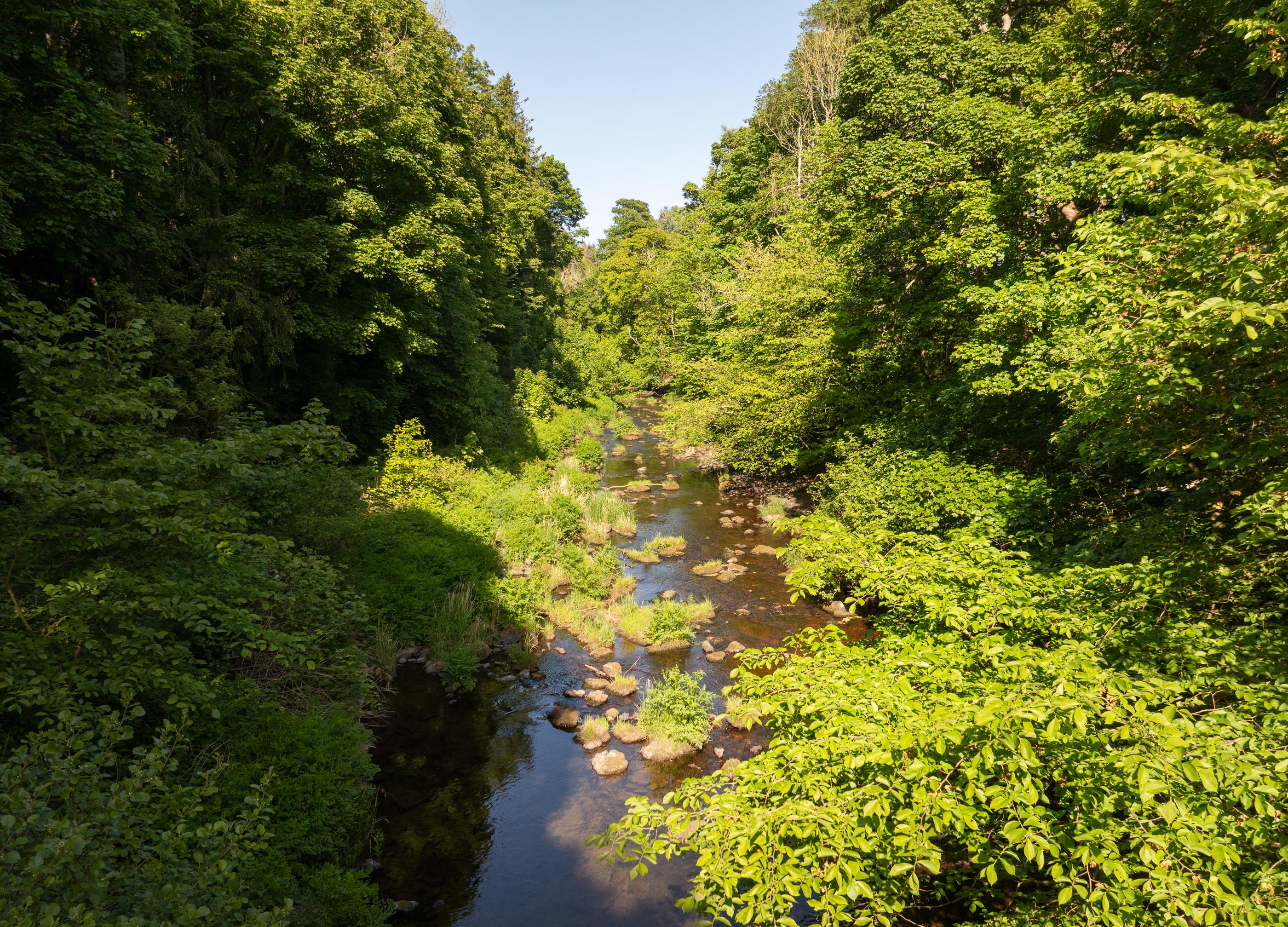 Ayton, Berwickshire, TD14