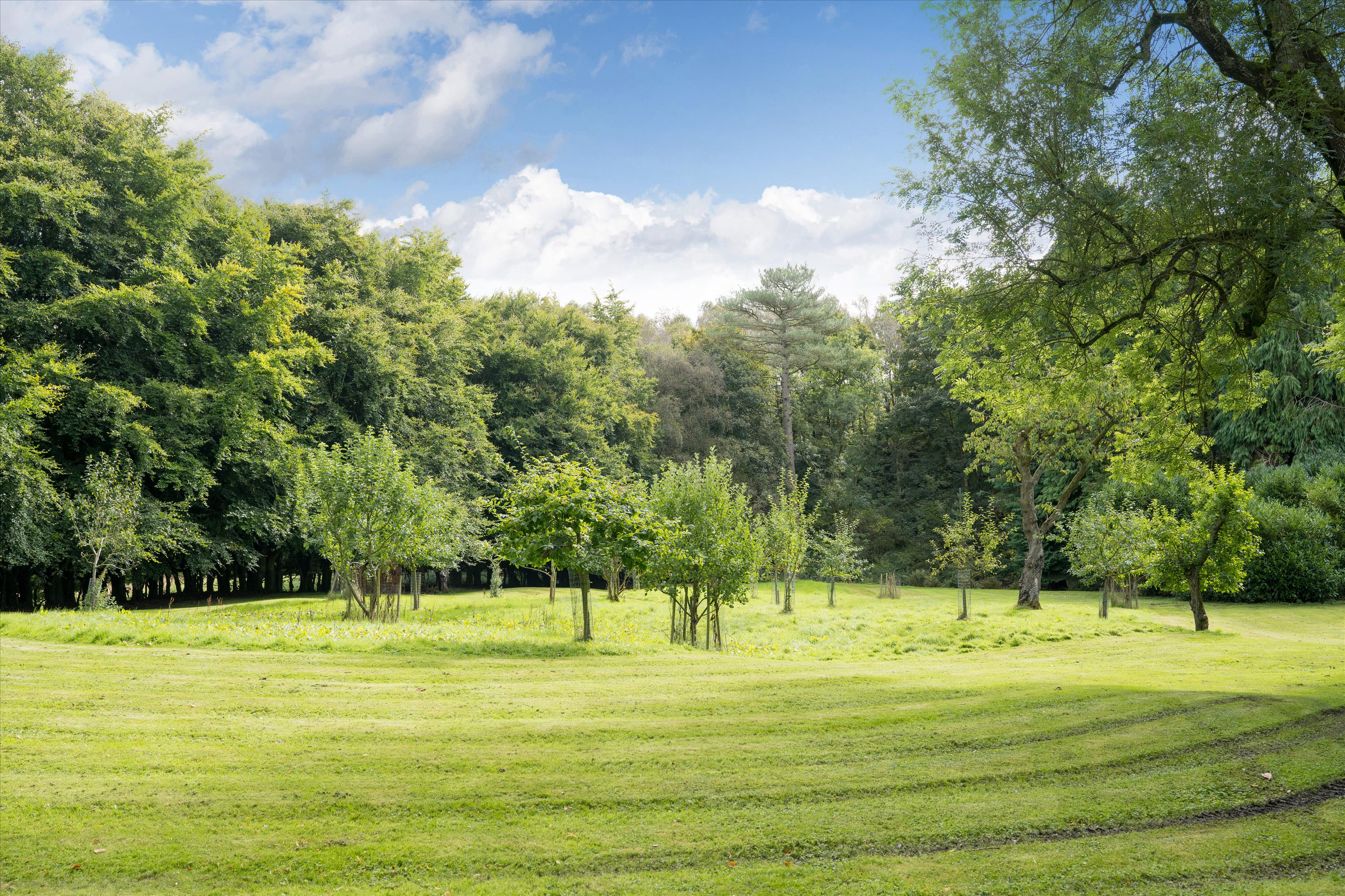 Haltwhistle, Northumberland, NE49