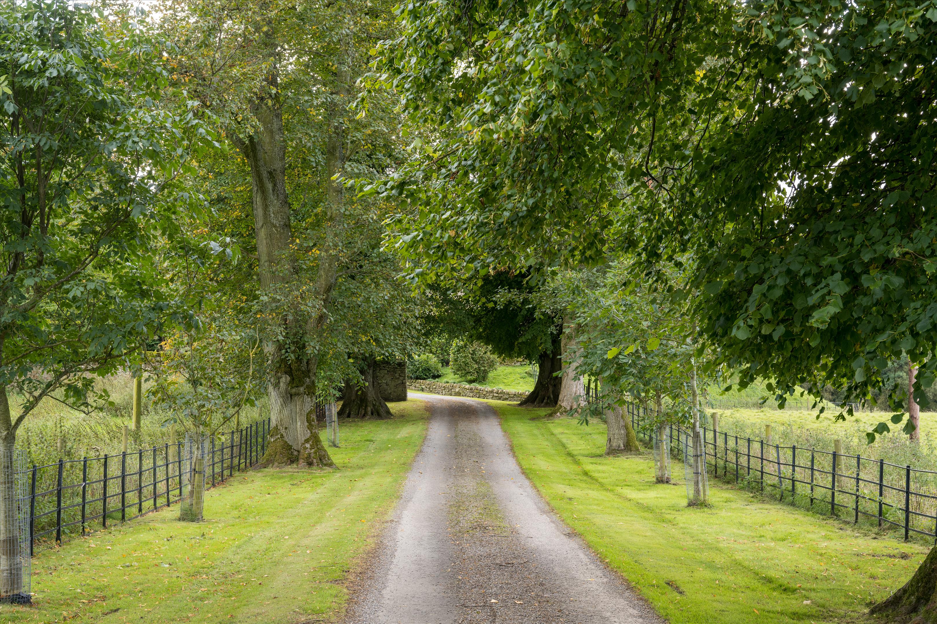 Haltwhistle, Northumberland, NE49