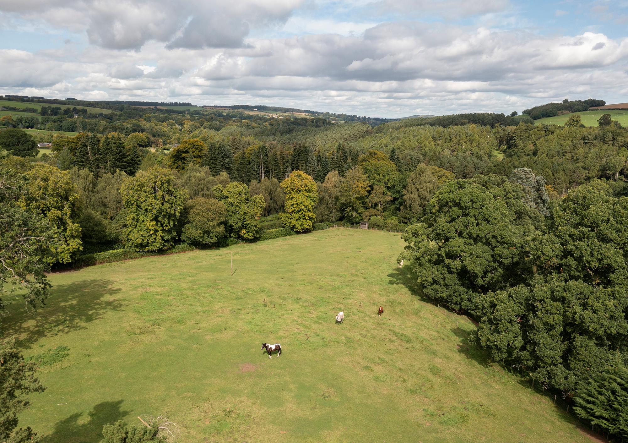 Jedburgh, Scottish Borders TD8