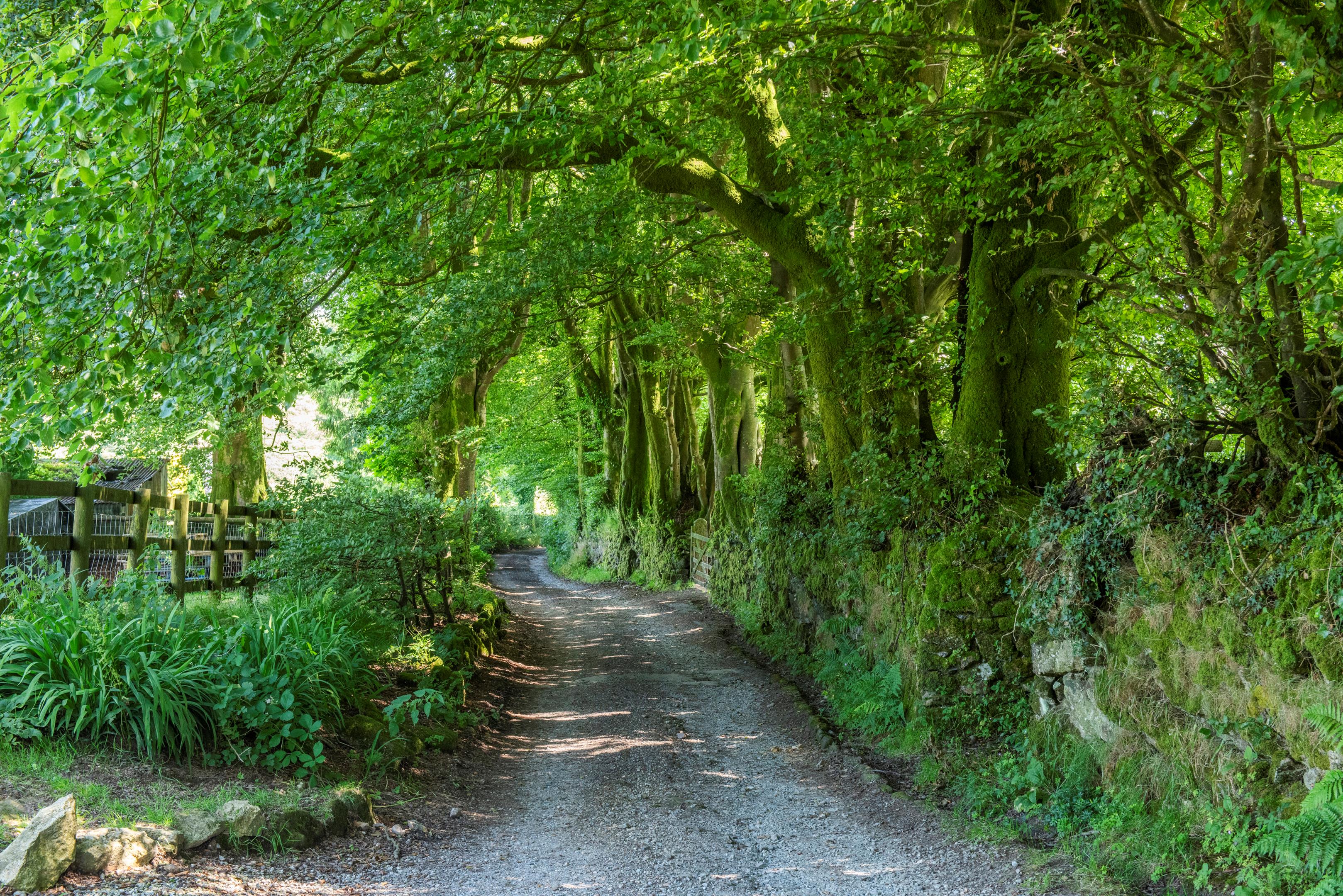 Chagford, Devon TQ13.