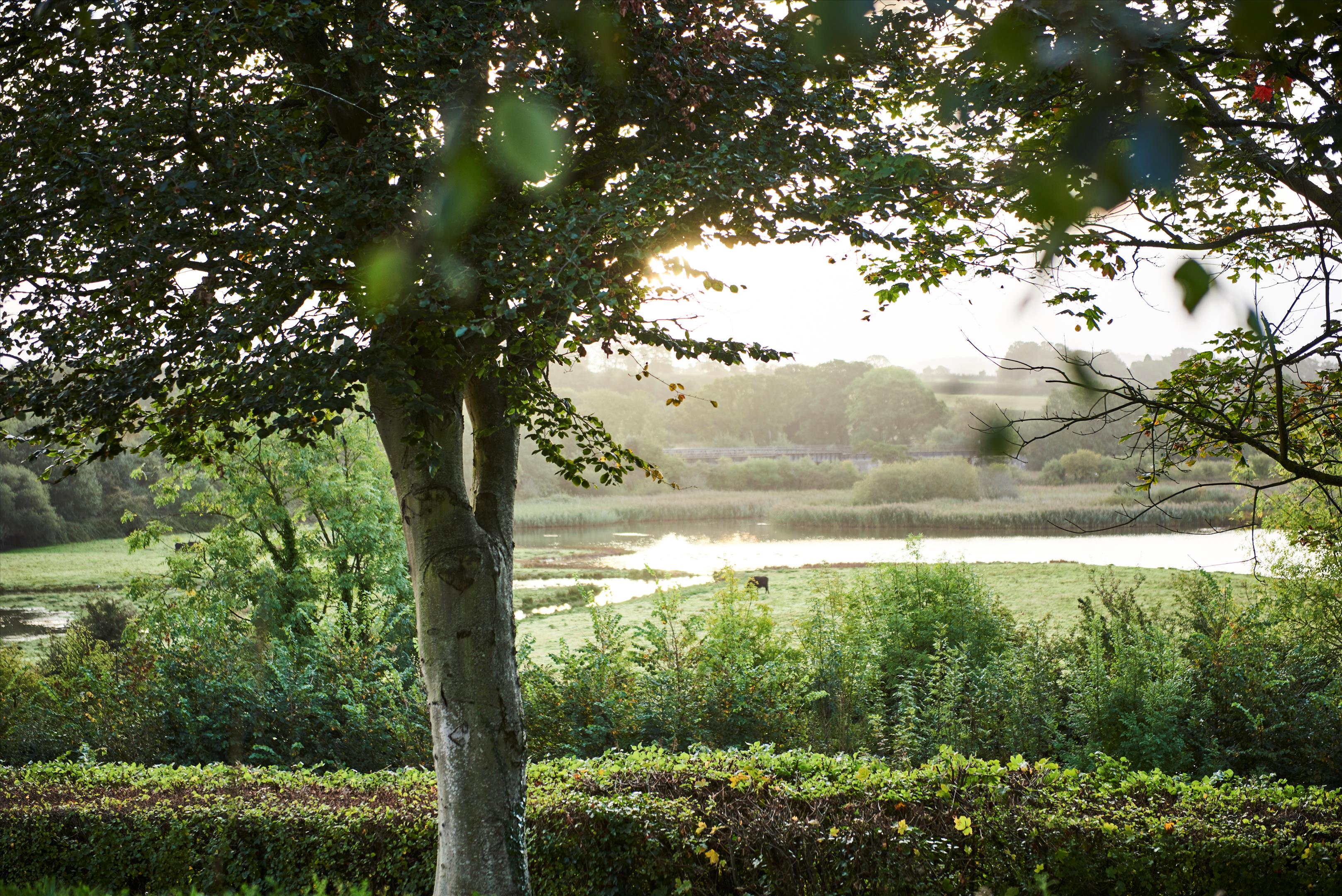 Topsham, Exeter, EX3