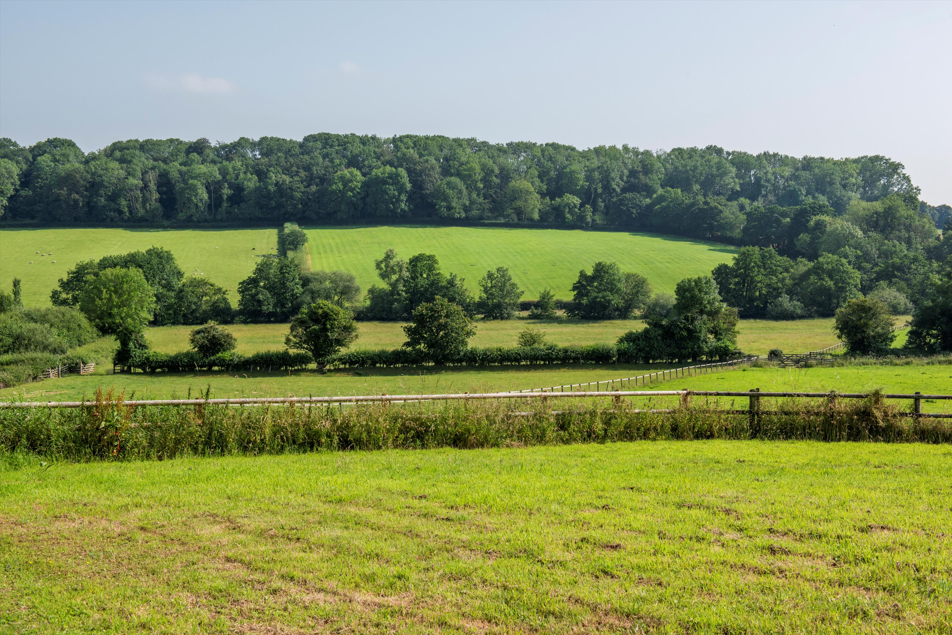 Payton, Wellington, Somerset TA21