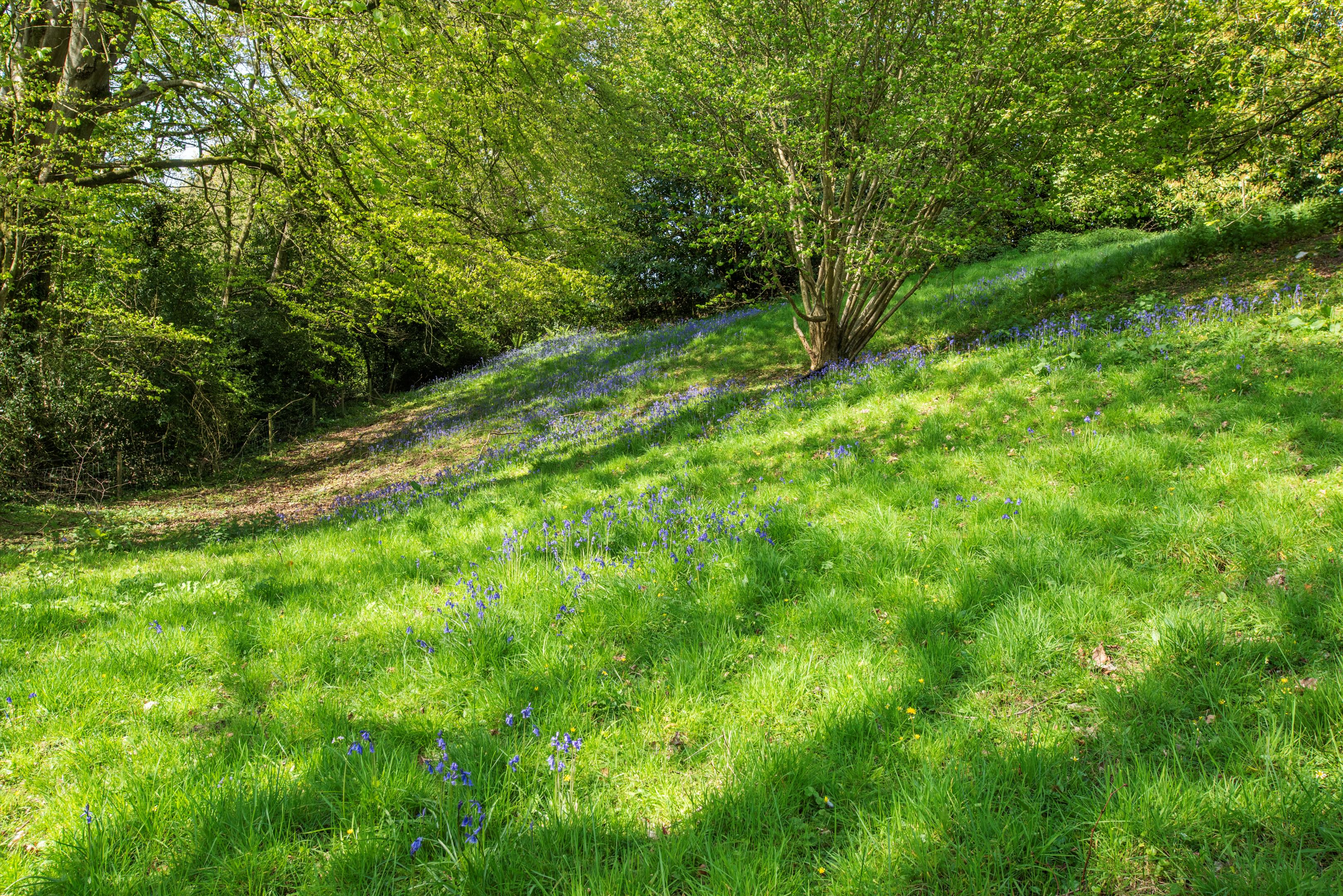 Combe St. Nicholas, Chard, Somerset TA20
