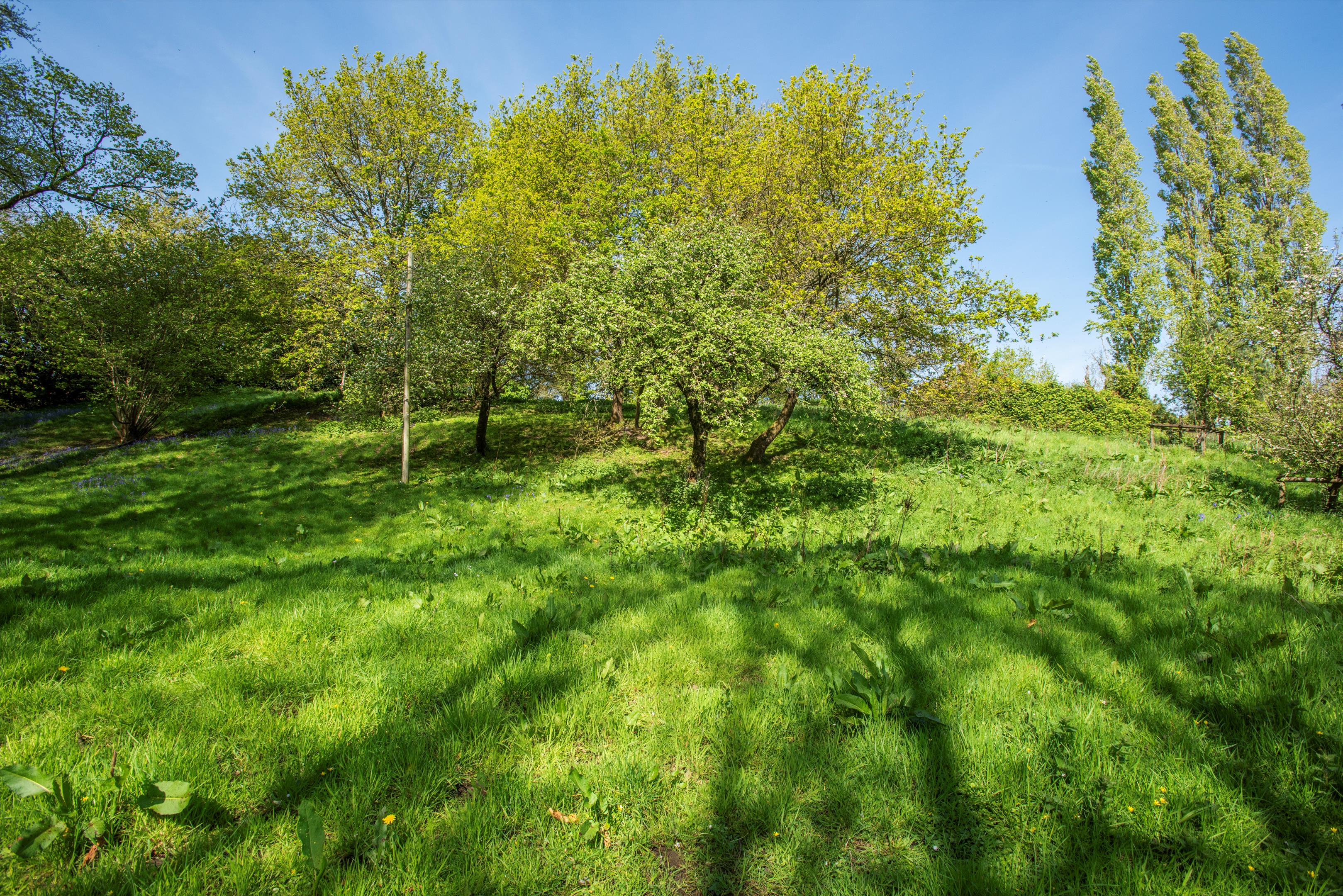 Combe St. Nicholas, Chard, Somerset TA20