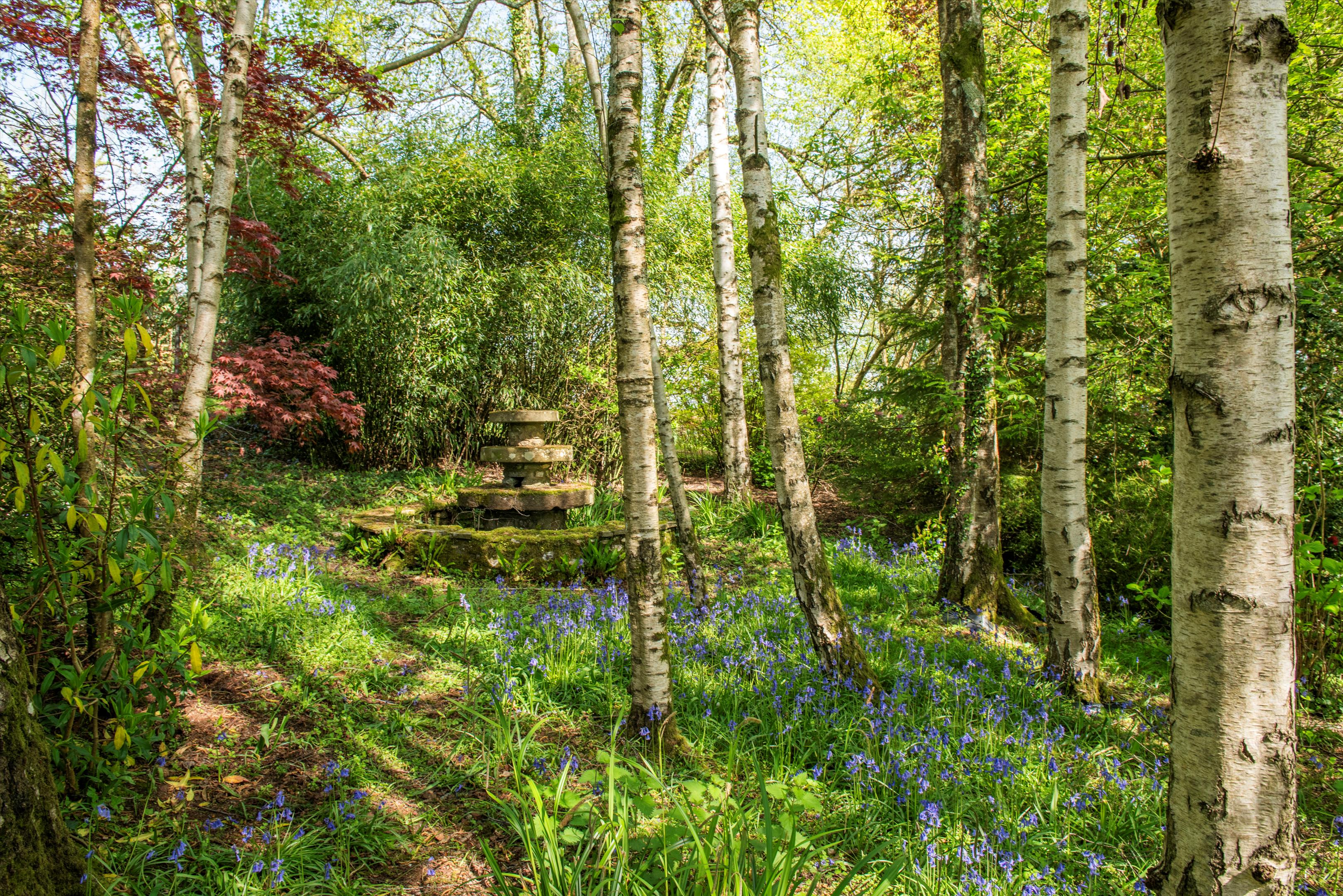 Combe St. Nicholas, Chard, Somerset TA20